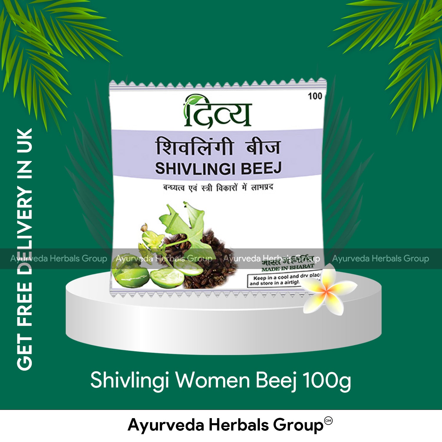 Patanjali Shivlingi Beej 100g