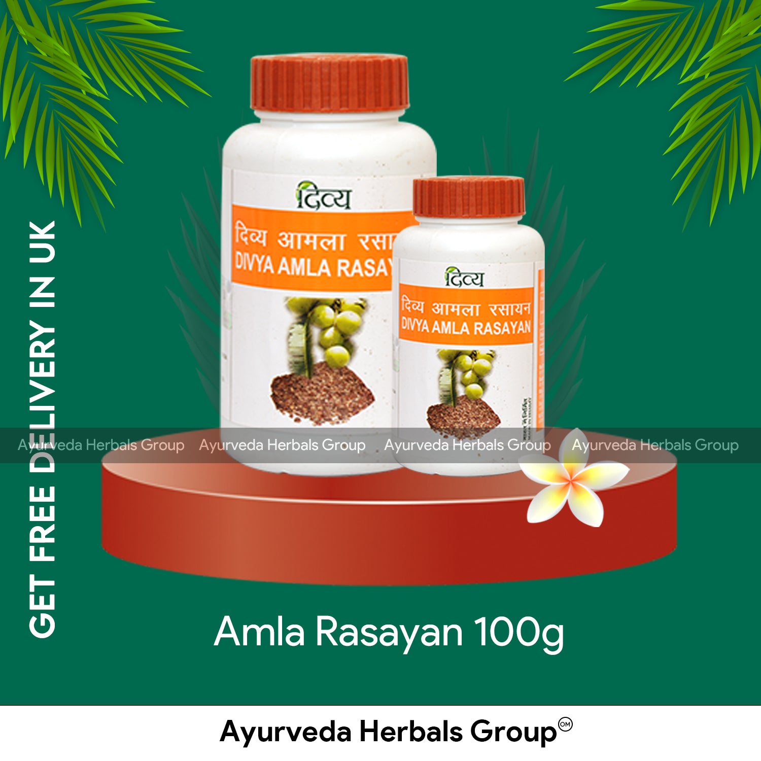 Patanjali Amla Rasayan 100g