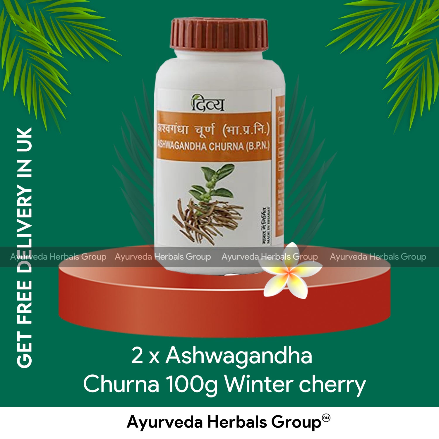 Swami Ramdev PatanjaliUK - 2 x Ashwagandha Churna 100g Winter cherry