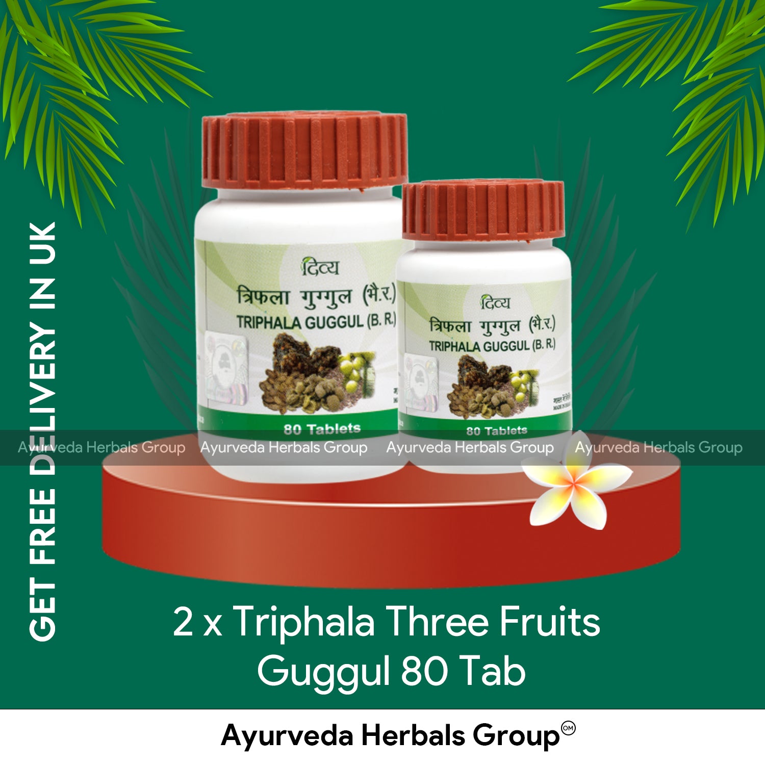 Patanjali 2 x Triphala Three Fruits Guggul 80 Tab