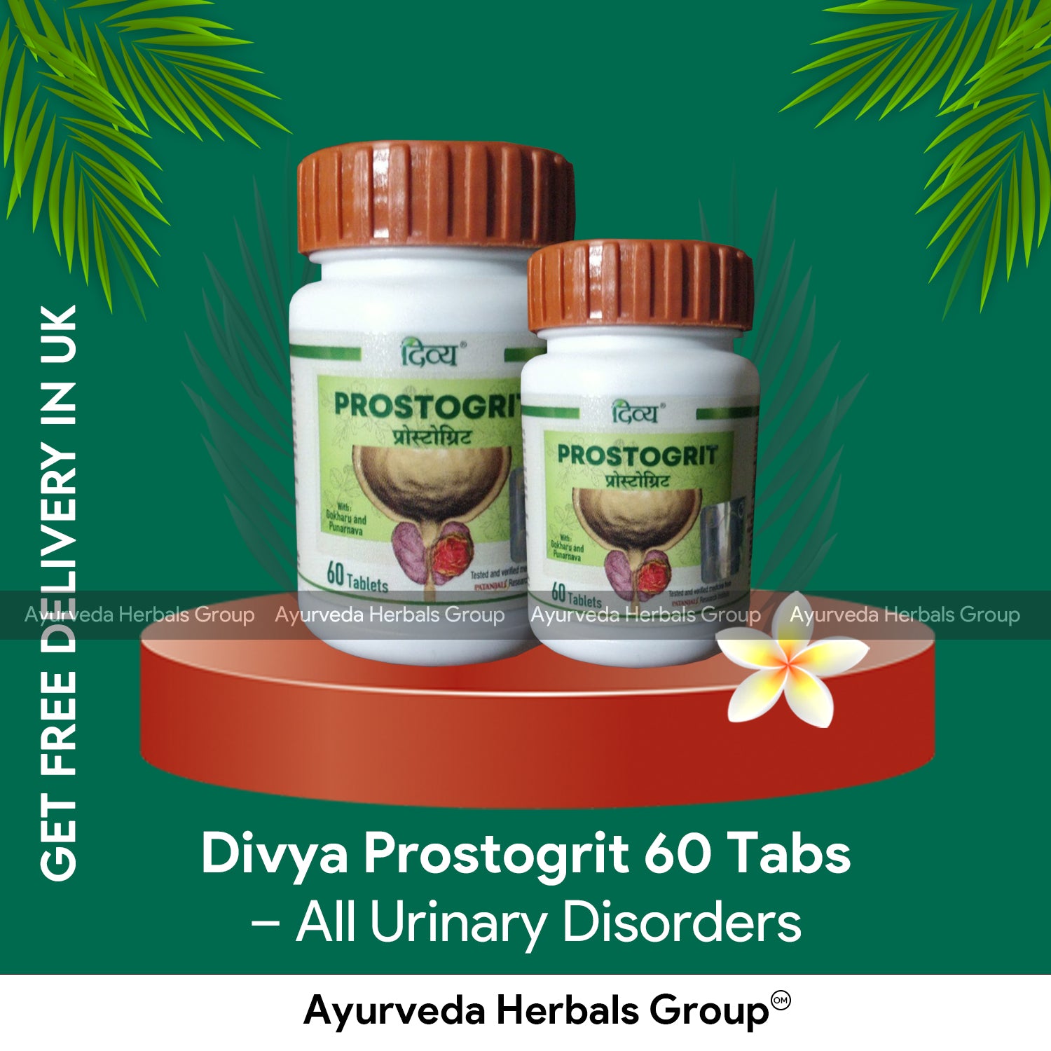 Patanjali Divya Prostogrit 60 Tabs