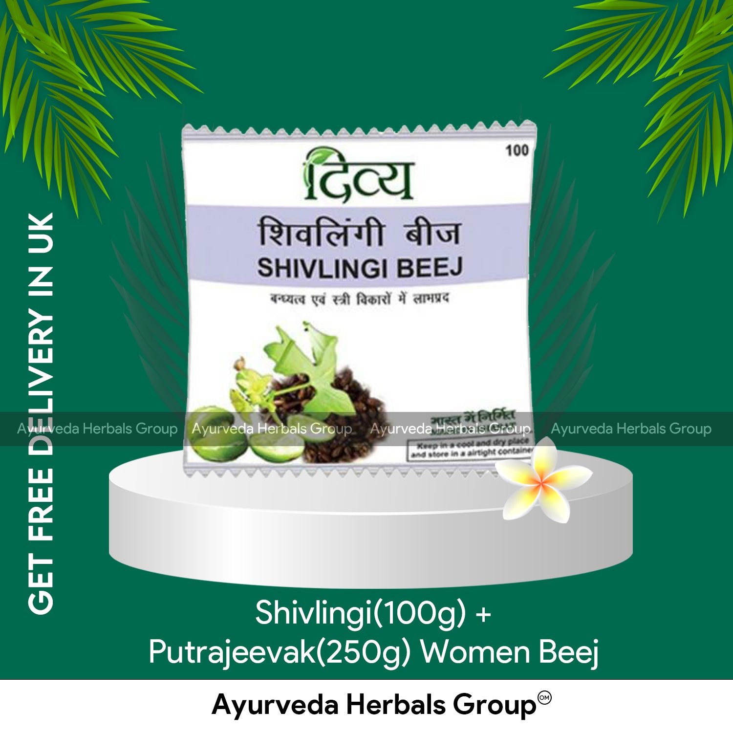 Patanjali Shivlingi(100g) + Putrajeevak(250g) Beej