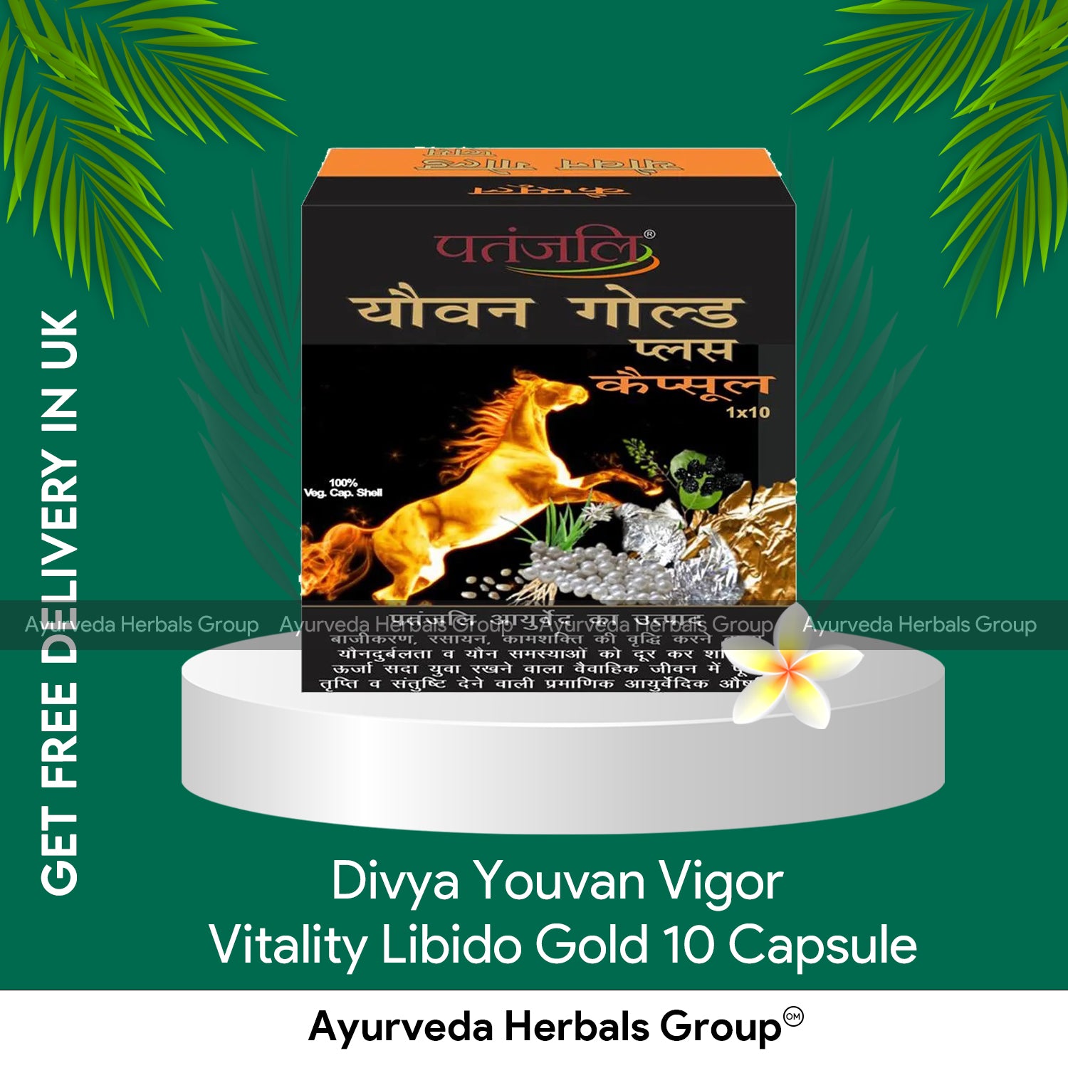 Patanjali Divya Youvan Vigor Vitality Libido Gold 10 Capsule