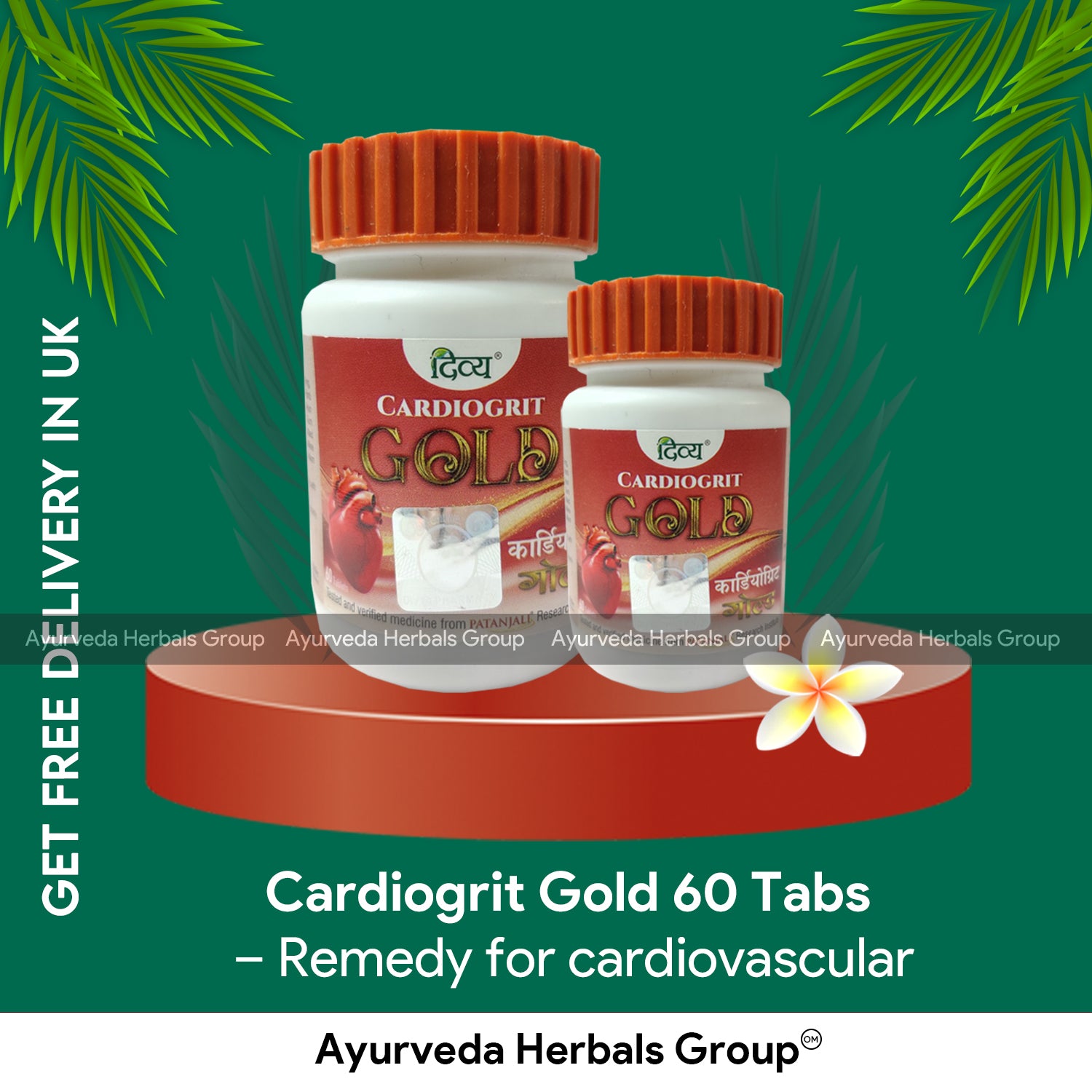 Patanjali Cardiogrit Gold 60 Tabs