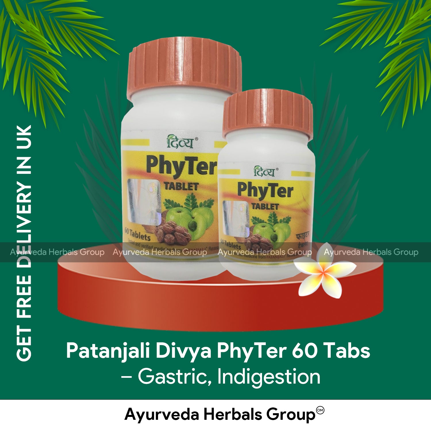 Patanjali Divya PhyTer 60 Tabs