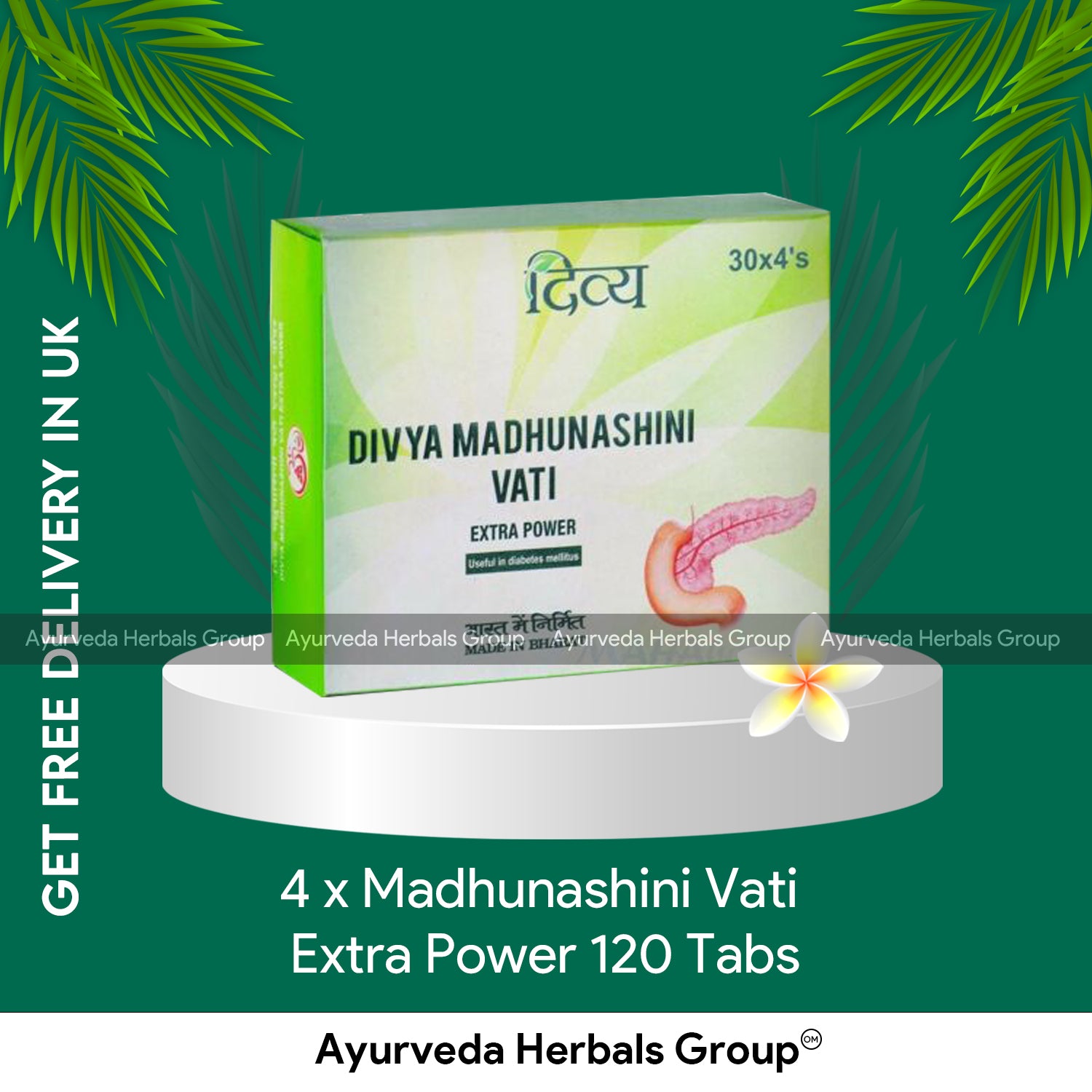 Patanjali 4 x Madhunashini Vati Extra Power 120 Tabs