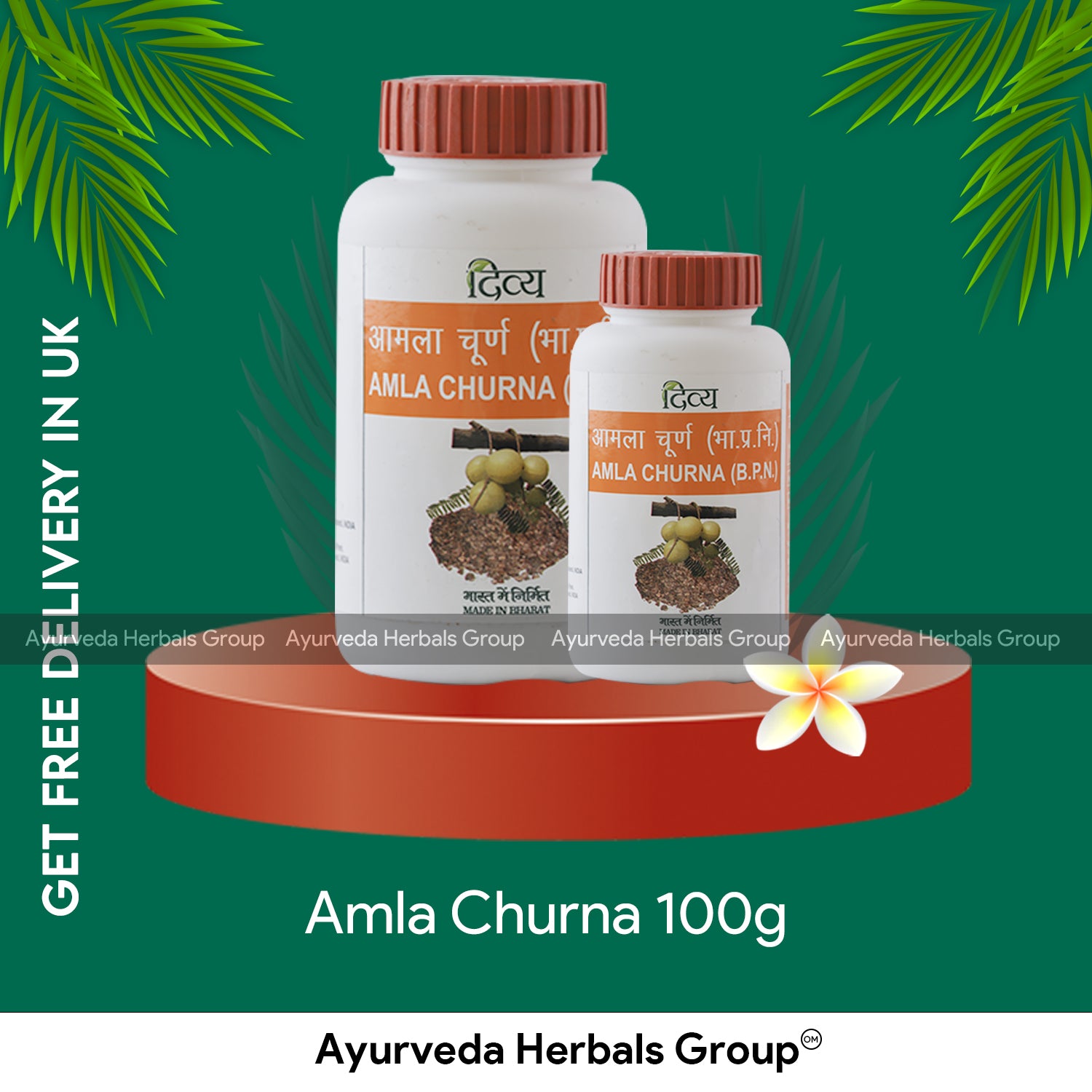 Patanjali Amla Churna 100g