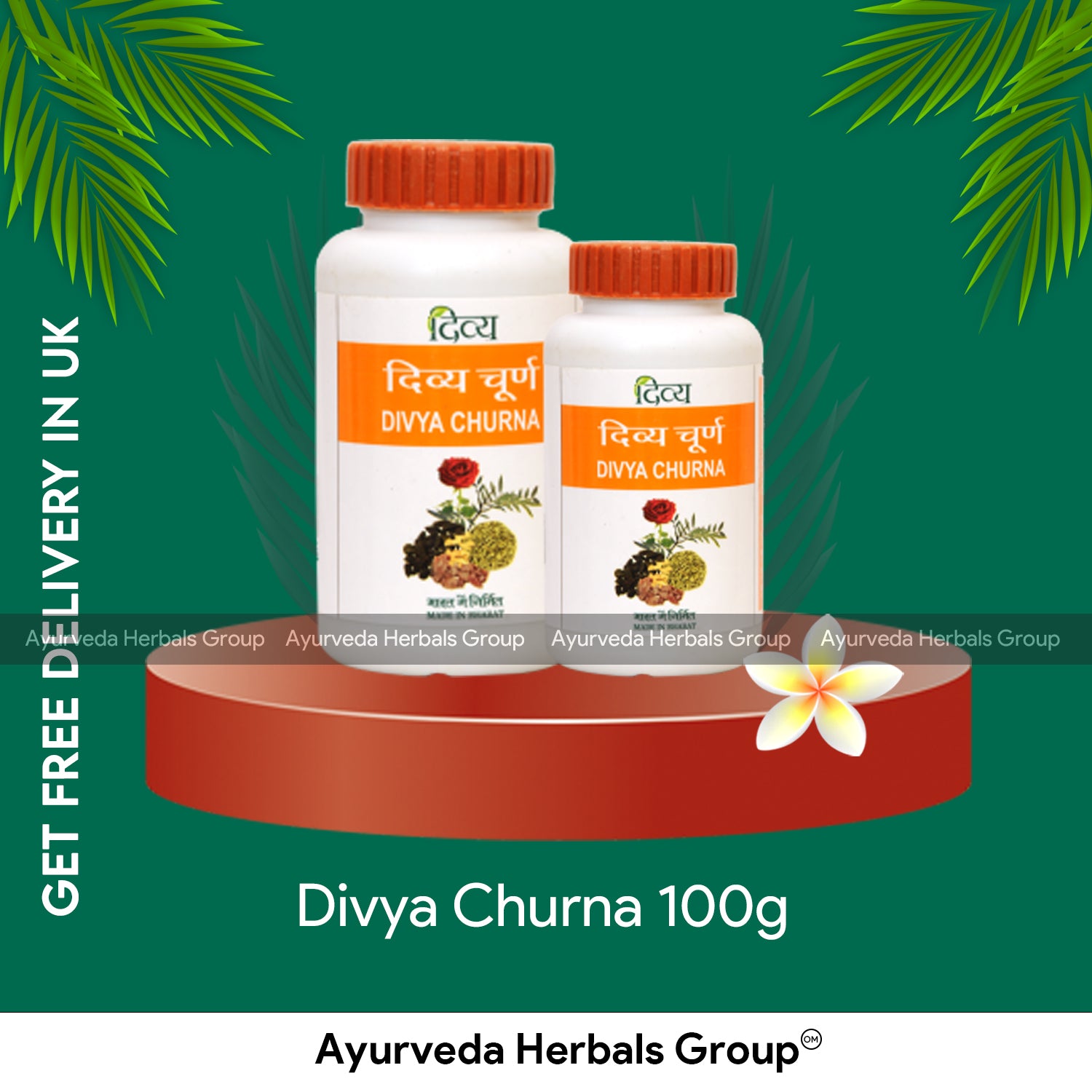 Patanjali Divya Churna 100g