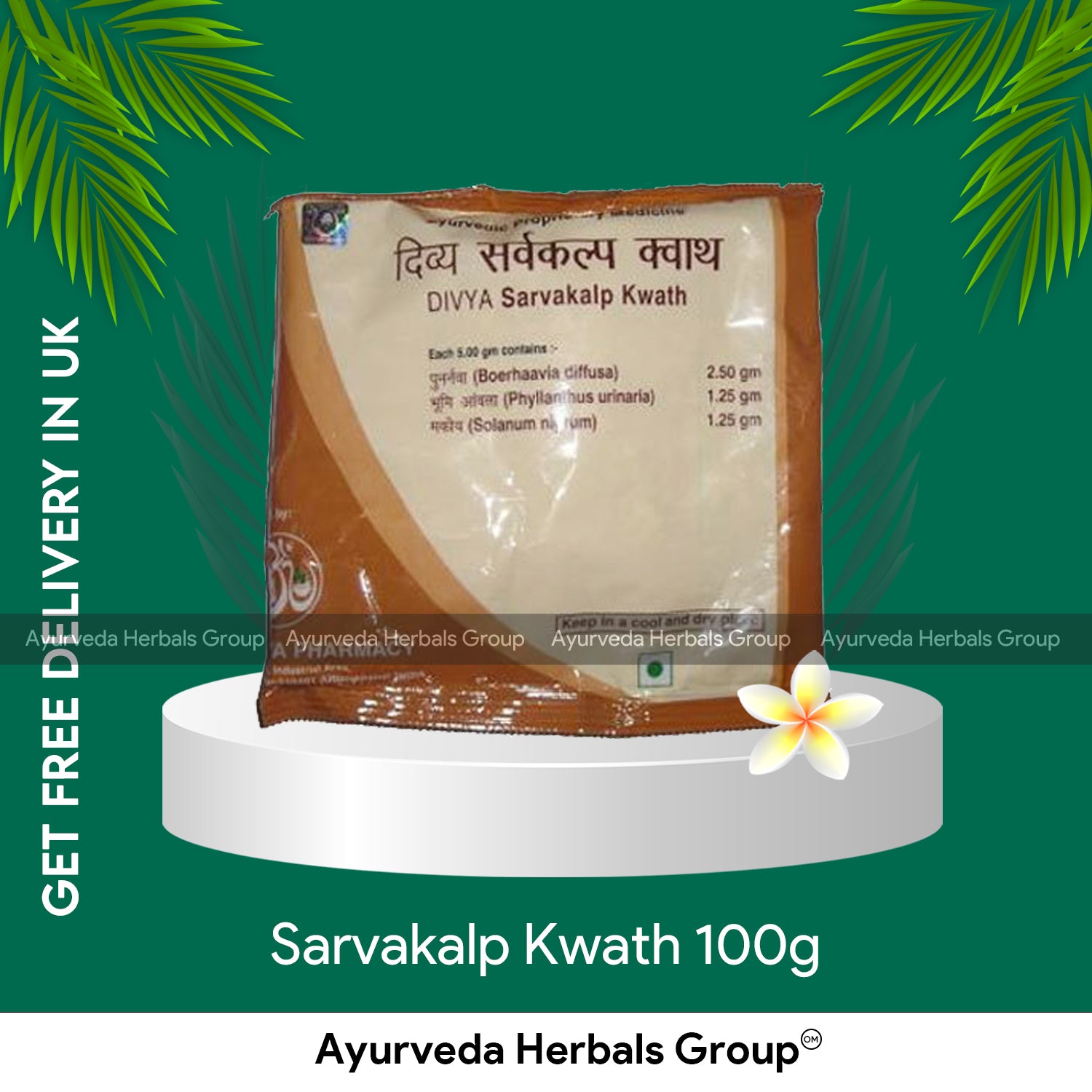 Patanjali Sarvakalp Kwath 100g