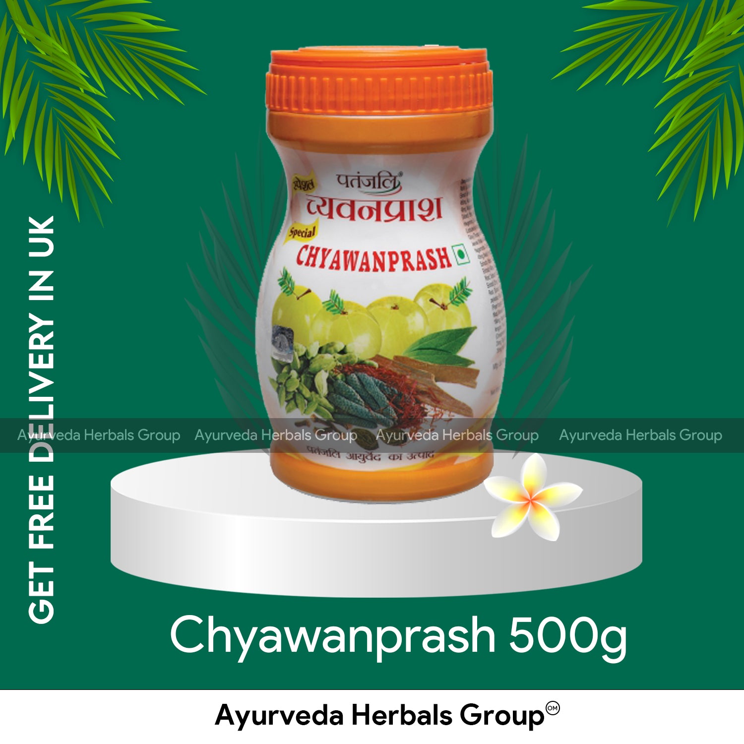Patanjali Chyawanprash 500g