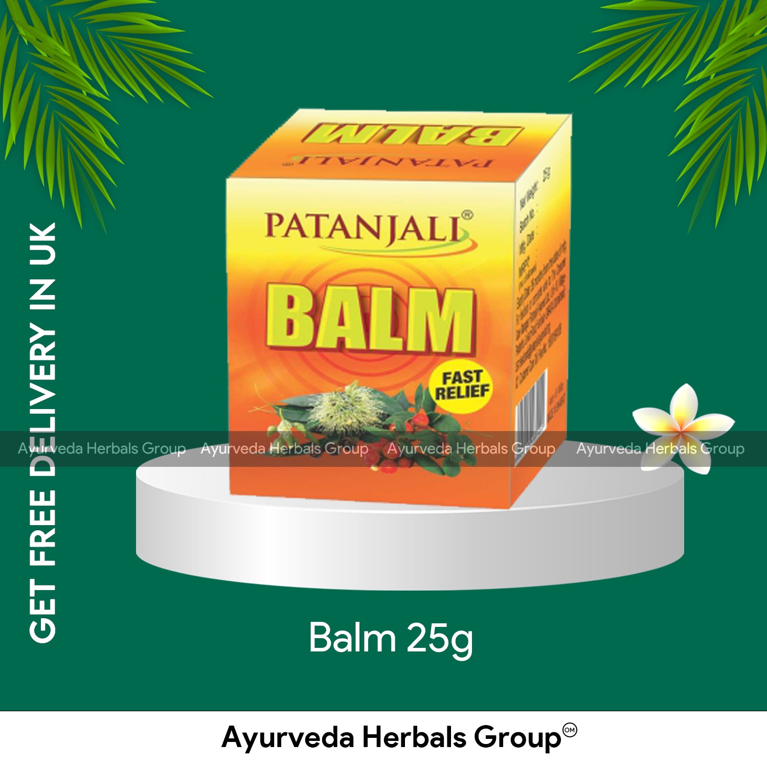 Patanjali Balm 25g