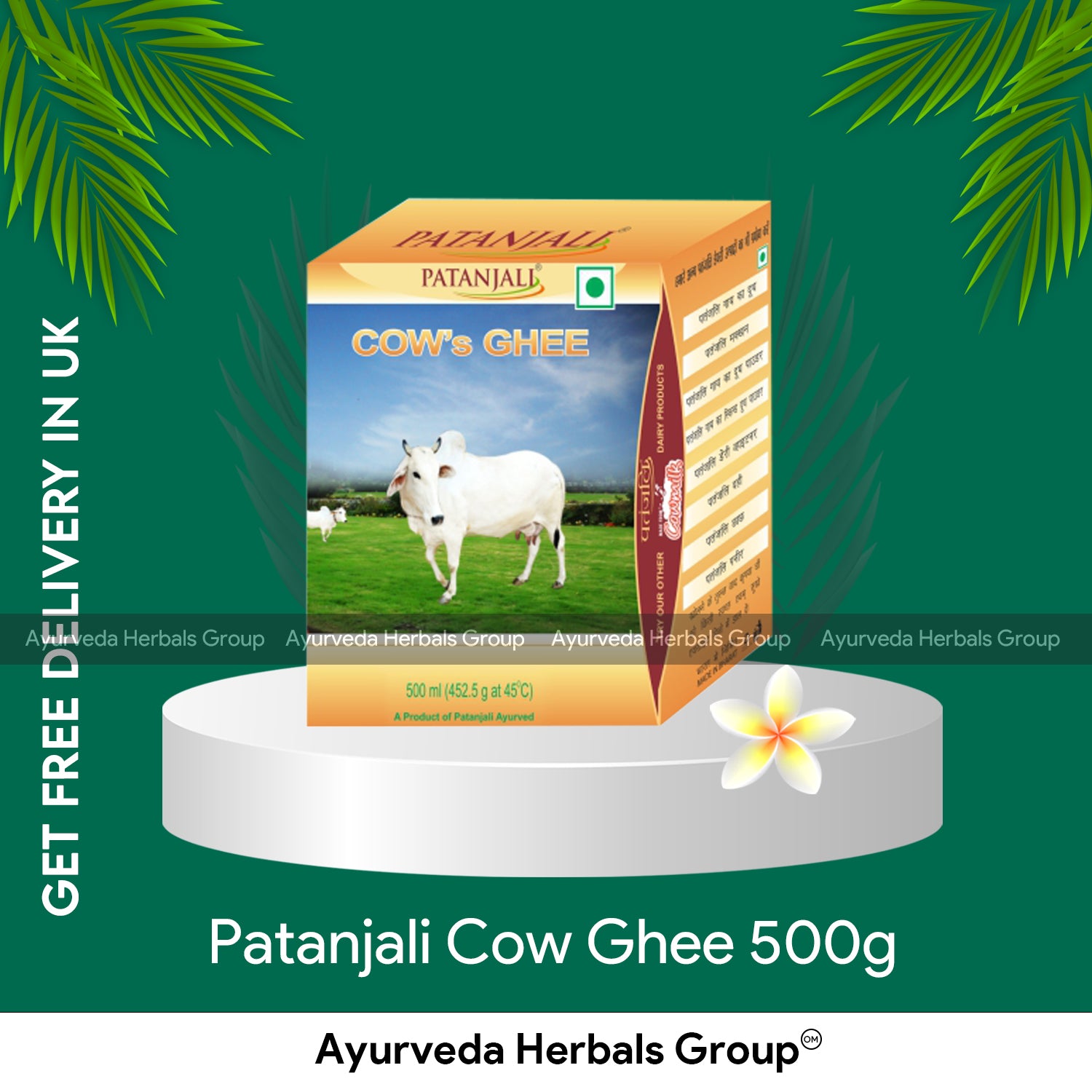 Patanjali Cow Ghee Clarified Butter Sealed Can 500g