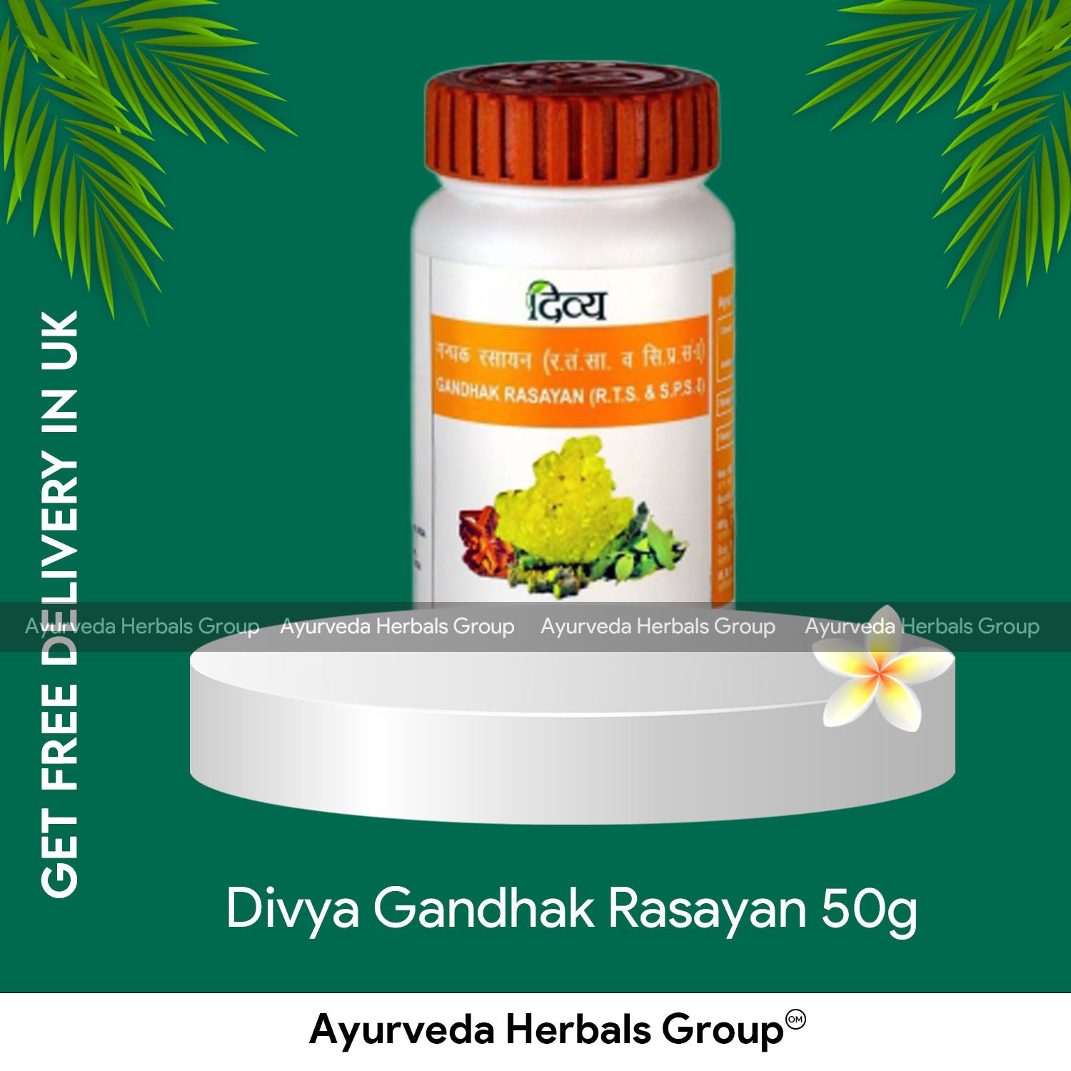 Patanjali Divya Gandhak Rasayan 50g