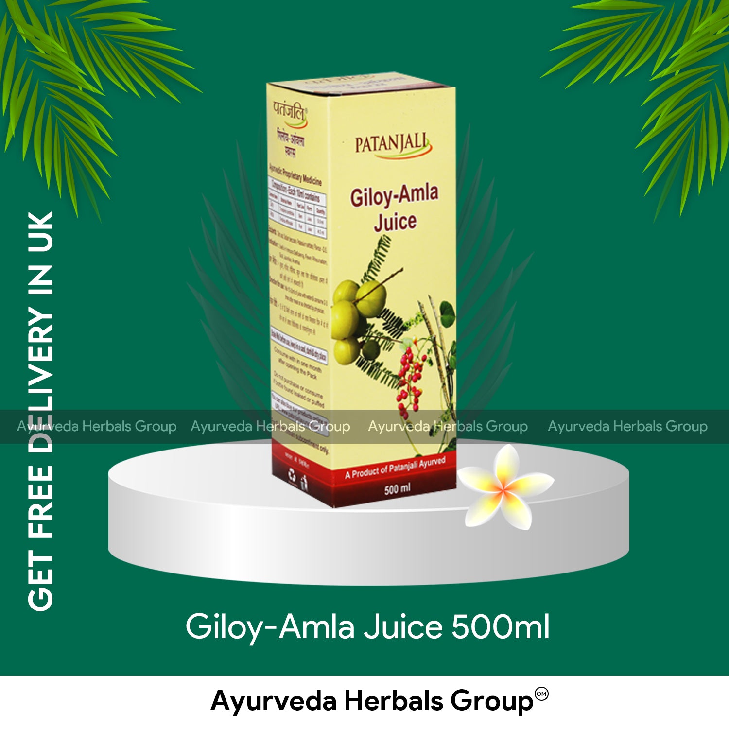 Patanjali Giloy-Amla Juice 500ml