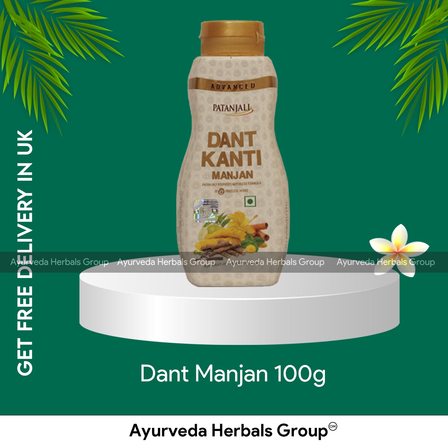 Patanjali Dant Manjan 100g