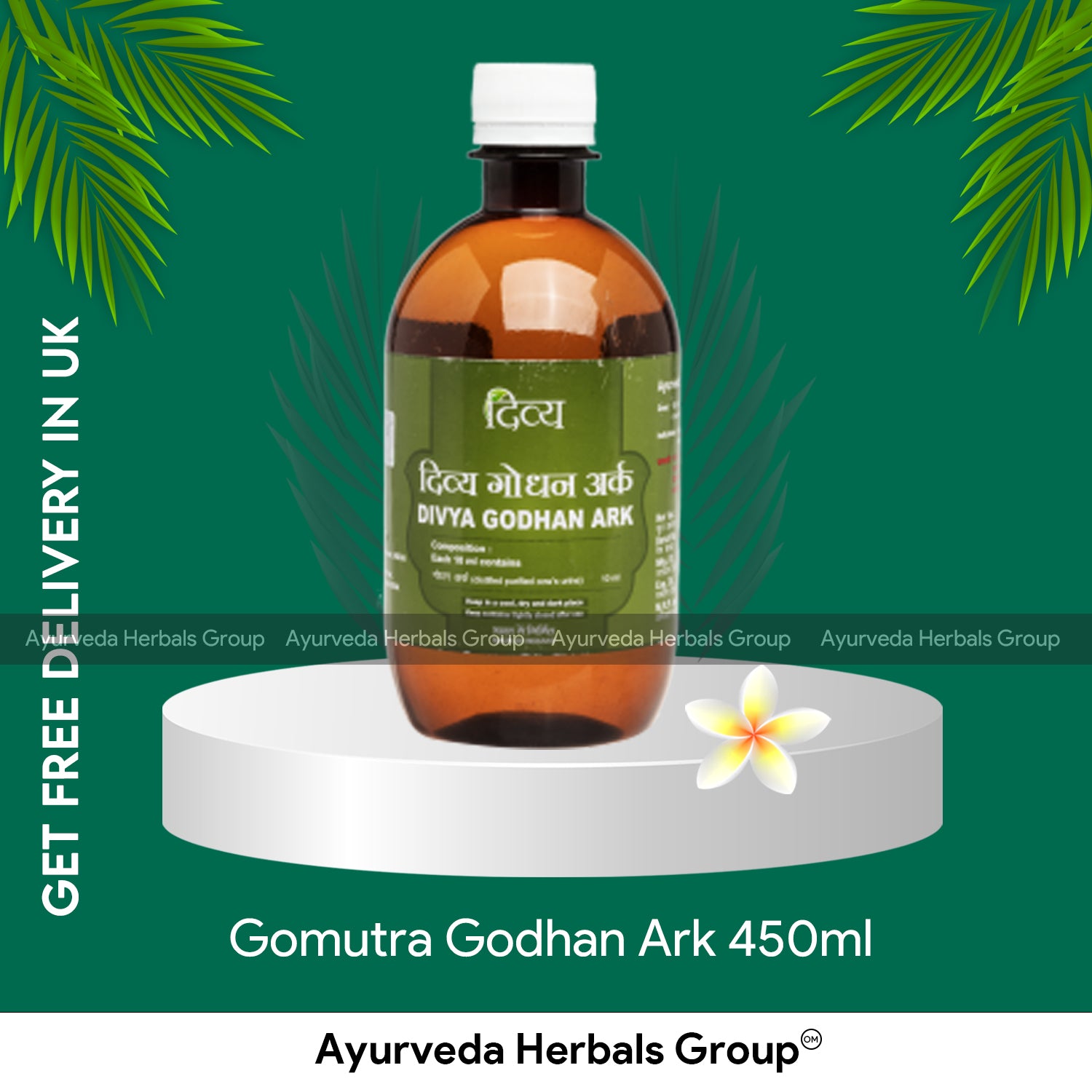 Patanjali Gomutra Godhan Ark 450ml