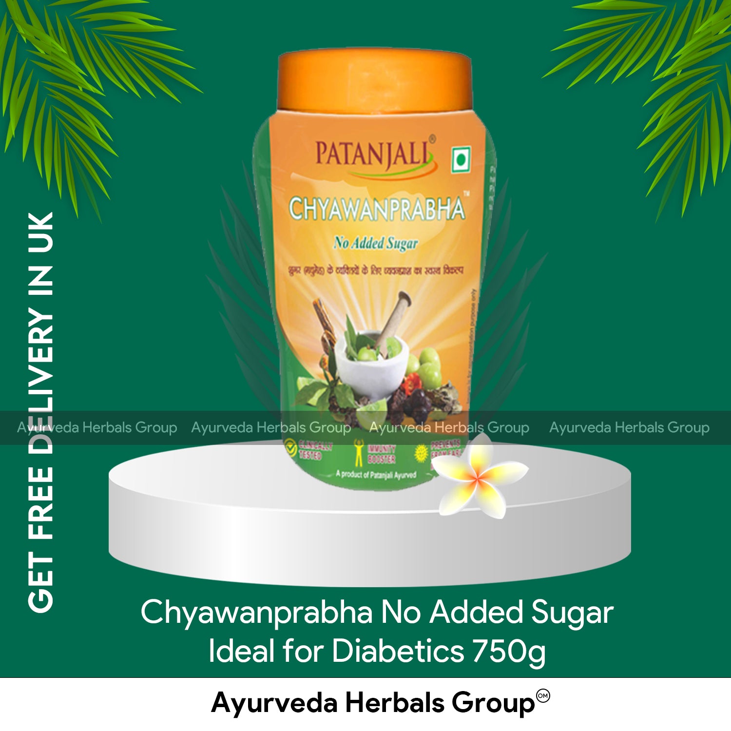 Chyawanprabha Advance - No Added Sugar - Ideal for Diabetics 750g