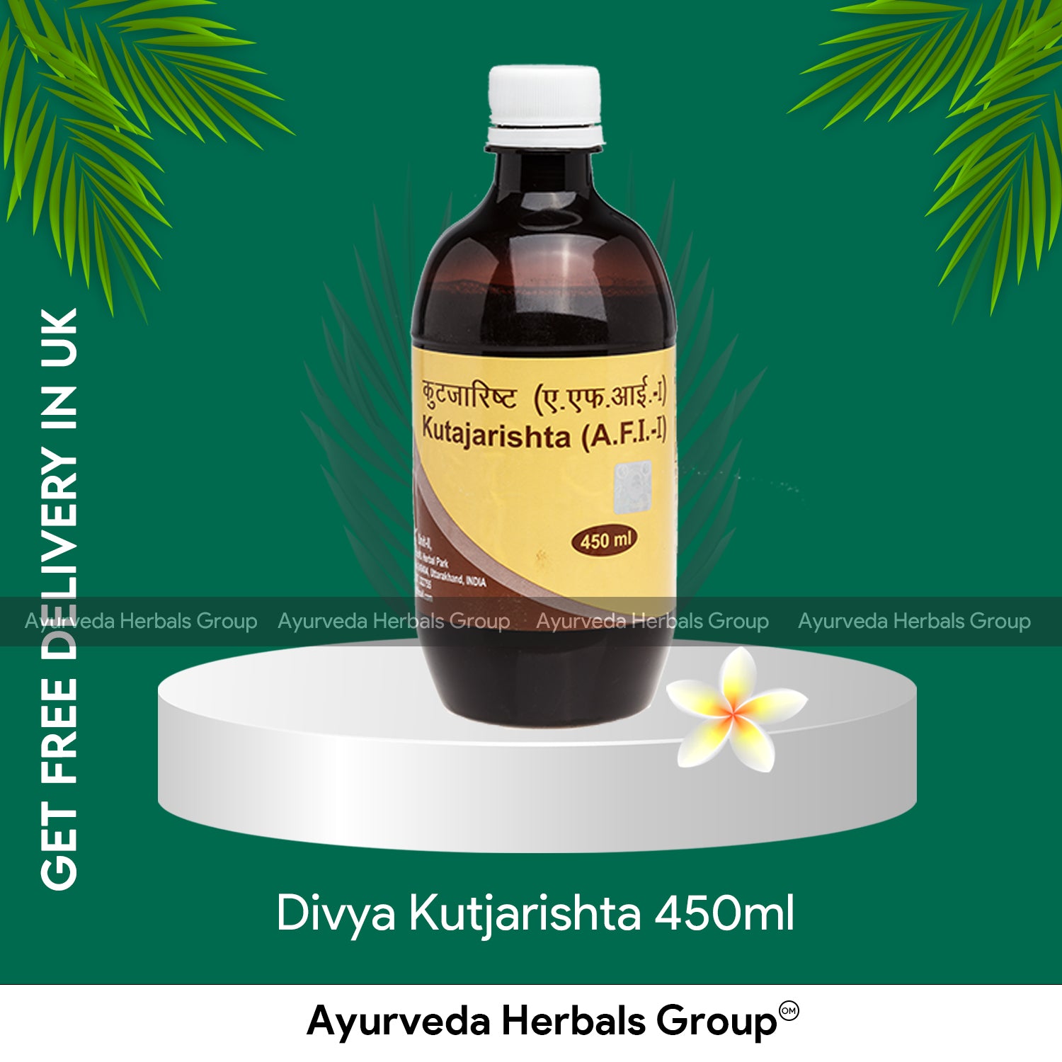 Patanjali Divya Kutjarishta 450ml