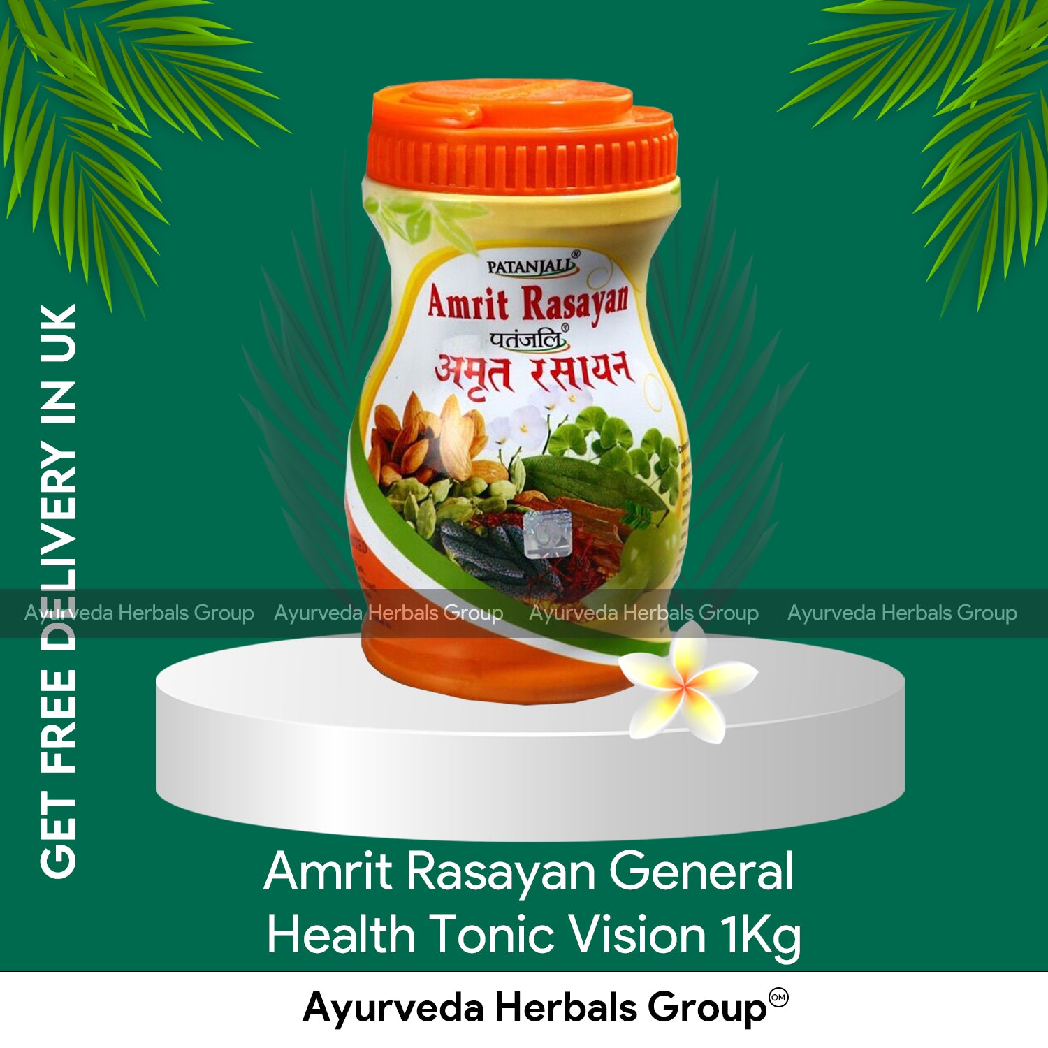 Patanjali Amrit Rasayan 1Kg