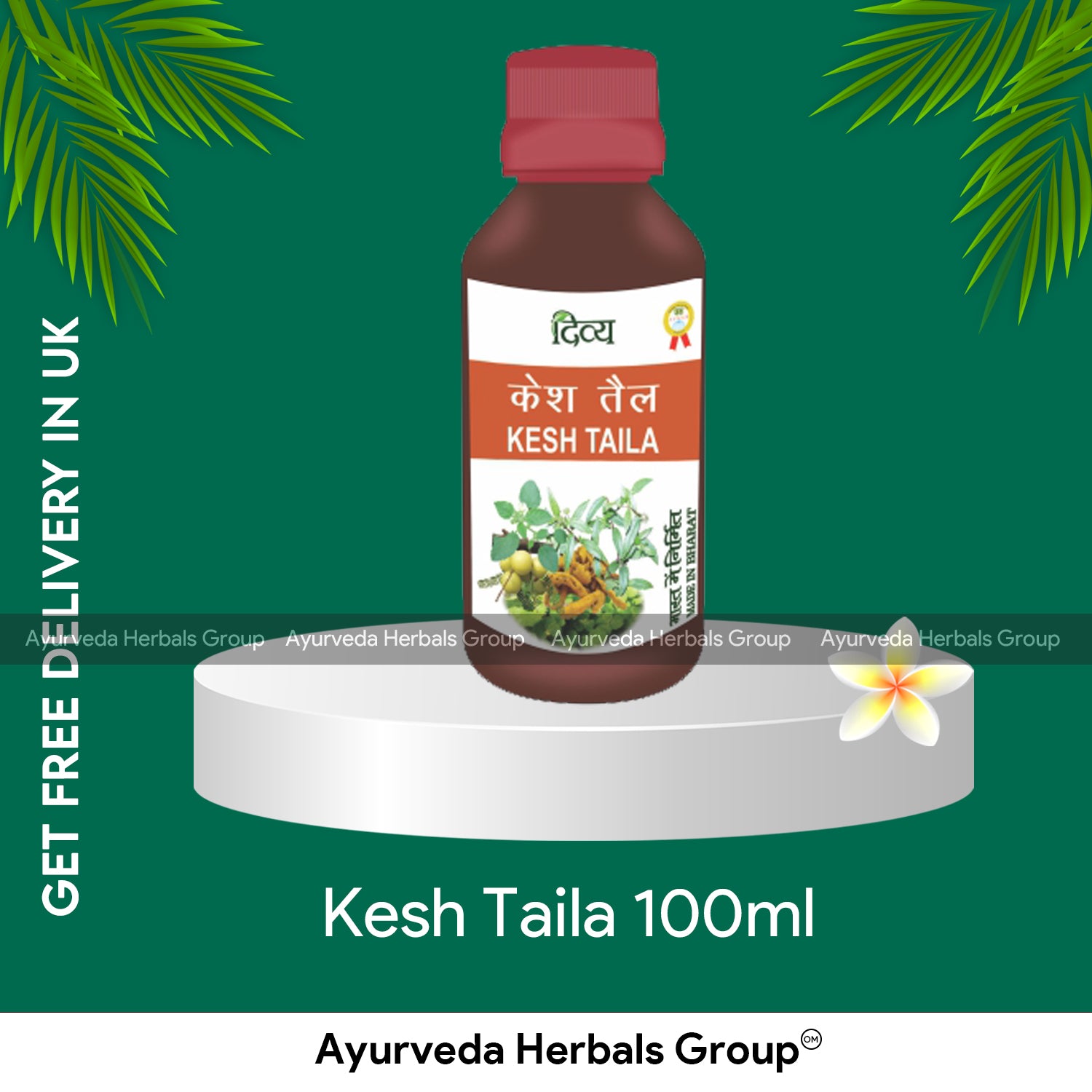 Patanjali Kesh Taila 100ml