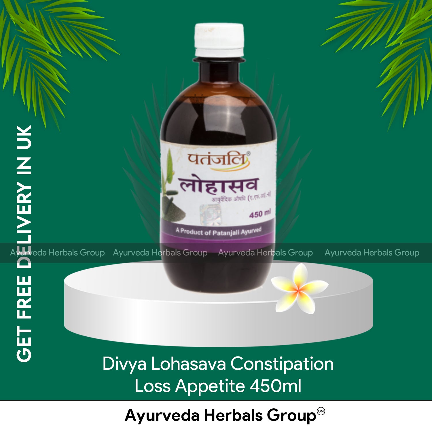 Patanjali Divya Lohasava 450ml