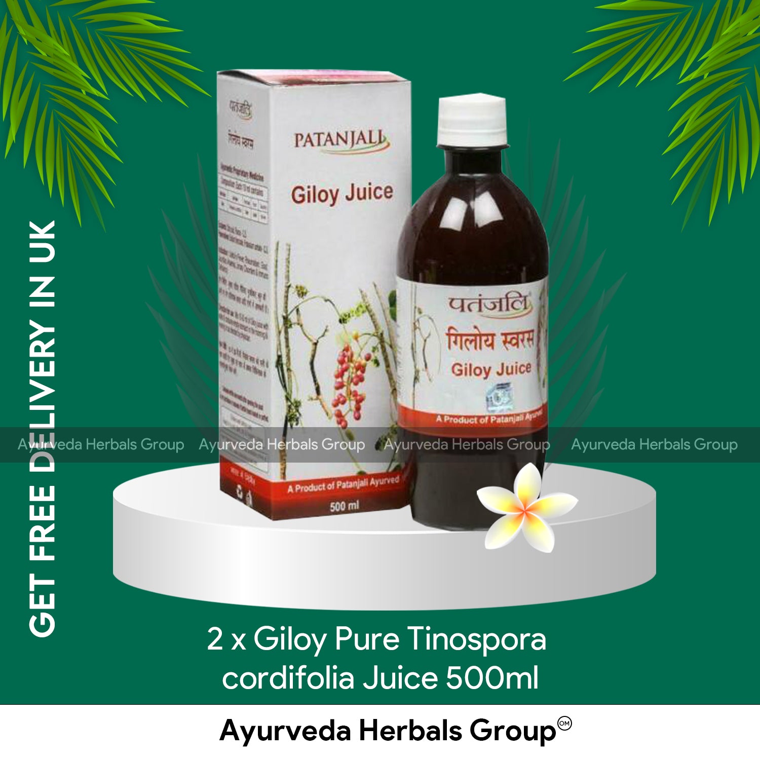 Patanjali 2 x Giloy Pure Tinospora cordifolia Juice 500ml