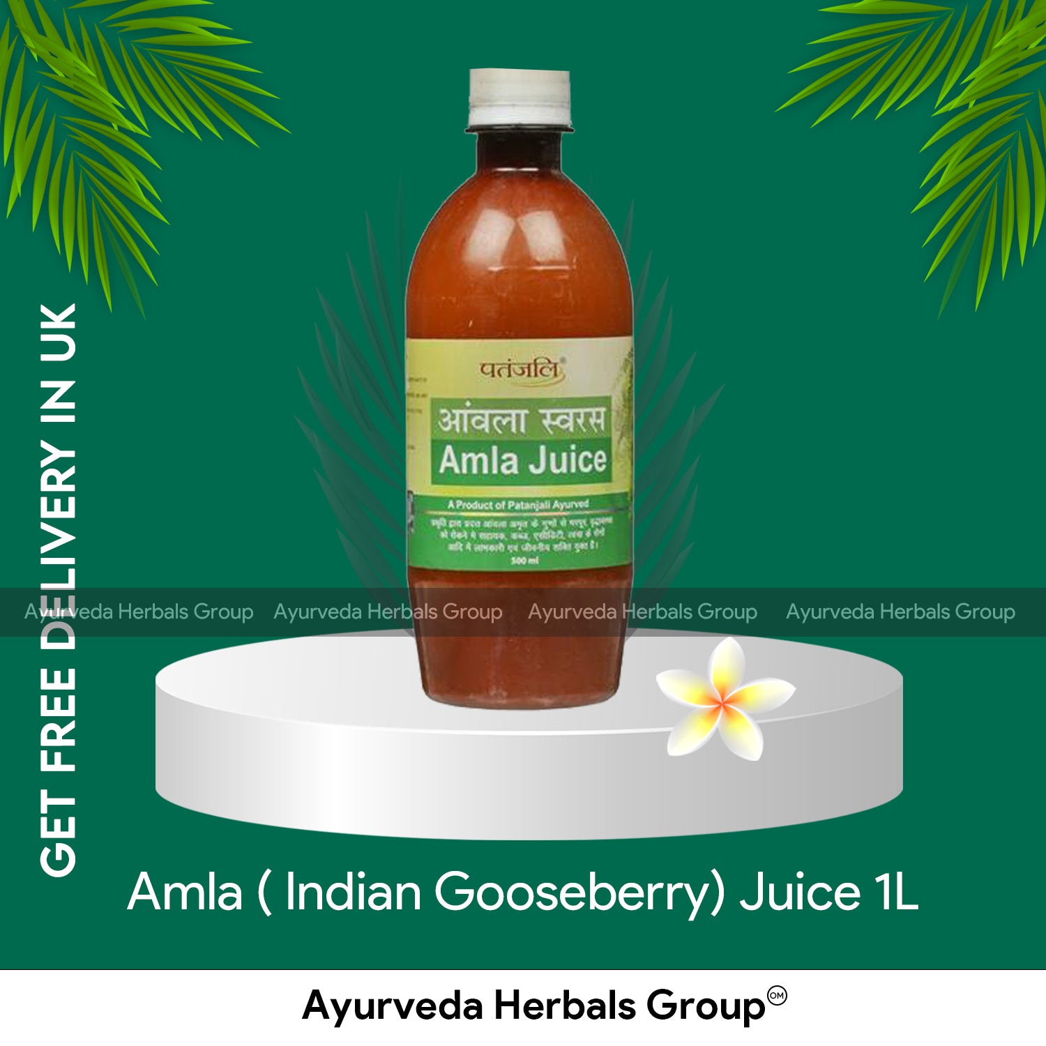 Patanjali Amla ( Indian Gooseberry) Juice 1L