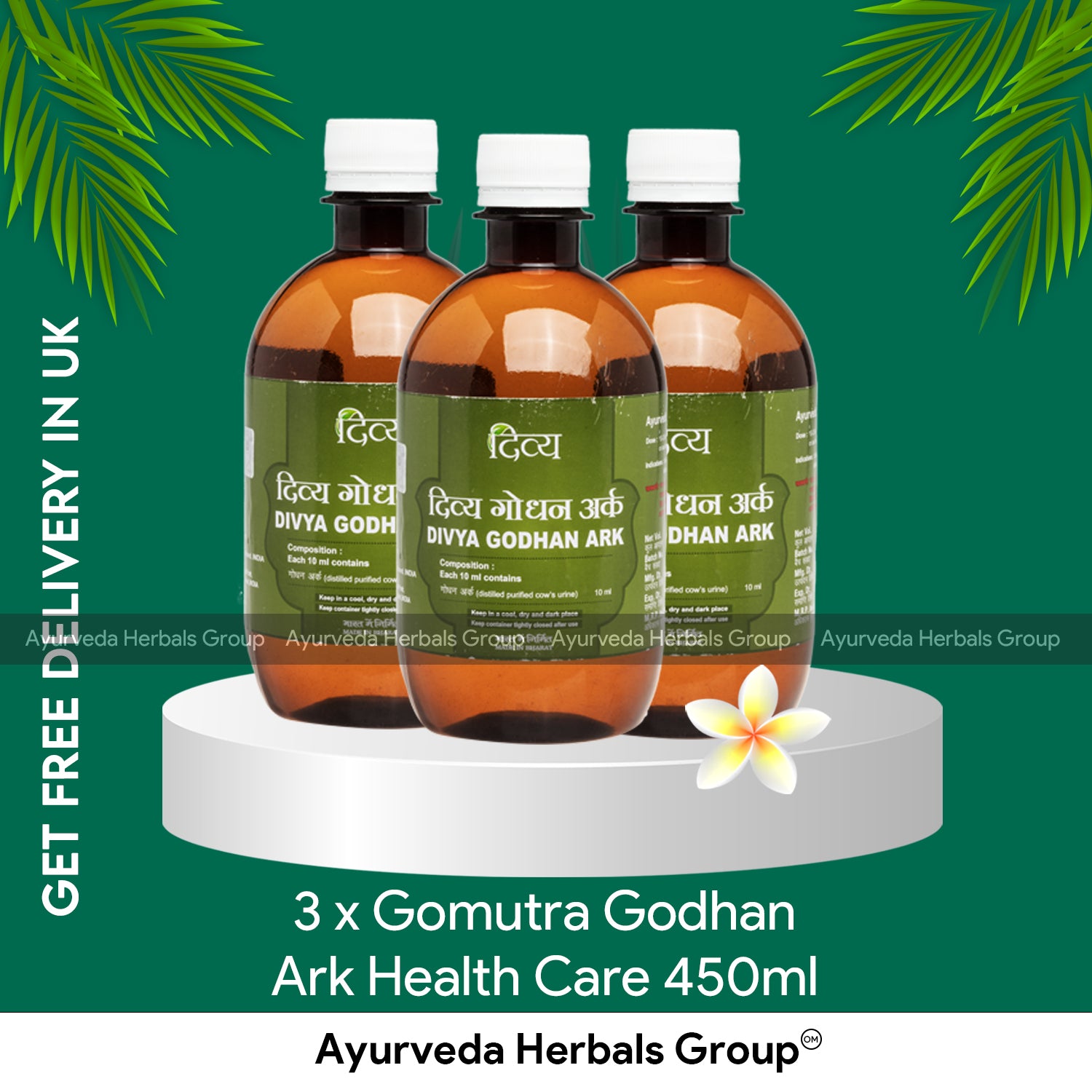 Patanjali - 3 x Gomutra Godhan Ark Health Care 450ml