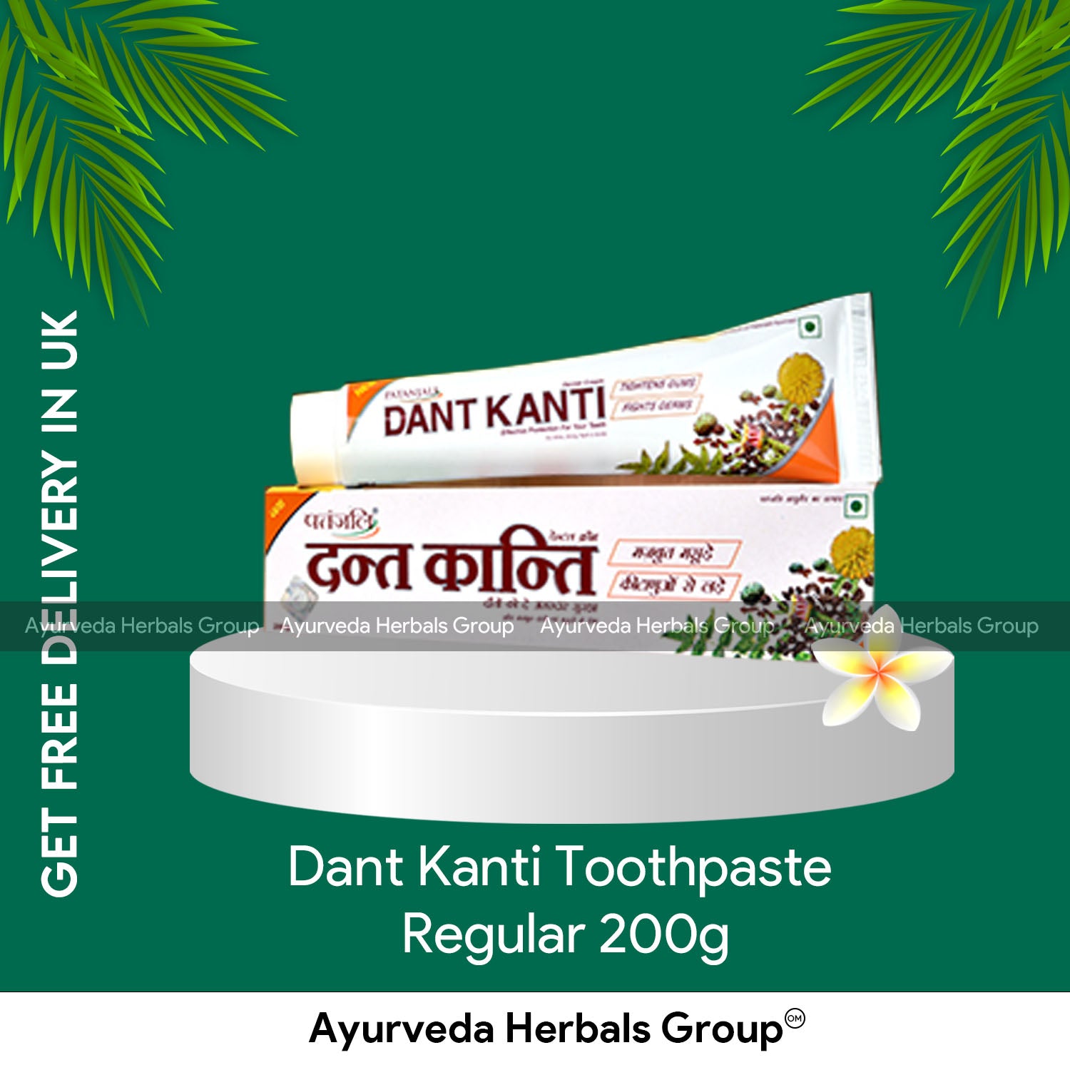 2 X Dant Kanti Toothpaste - Regular 200g
