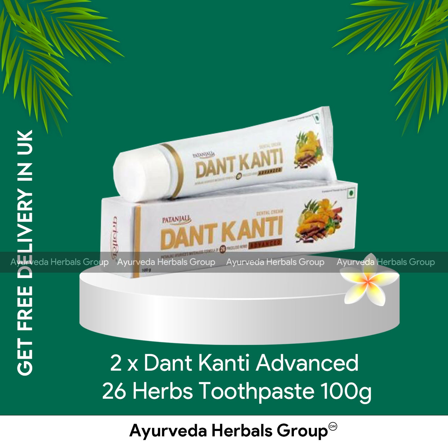 Patanjali 2 x Dant Kanti Advanced 26 Herbs Toothpaste 100g
