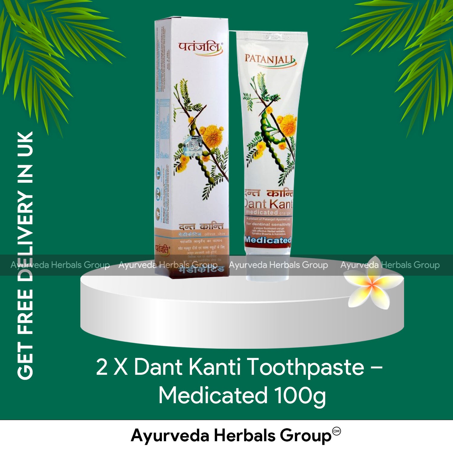 2 X Dant Kanti Toothpaste – Medicated 100g