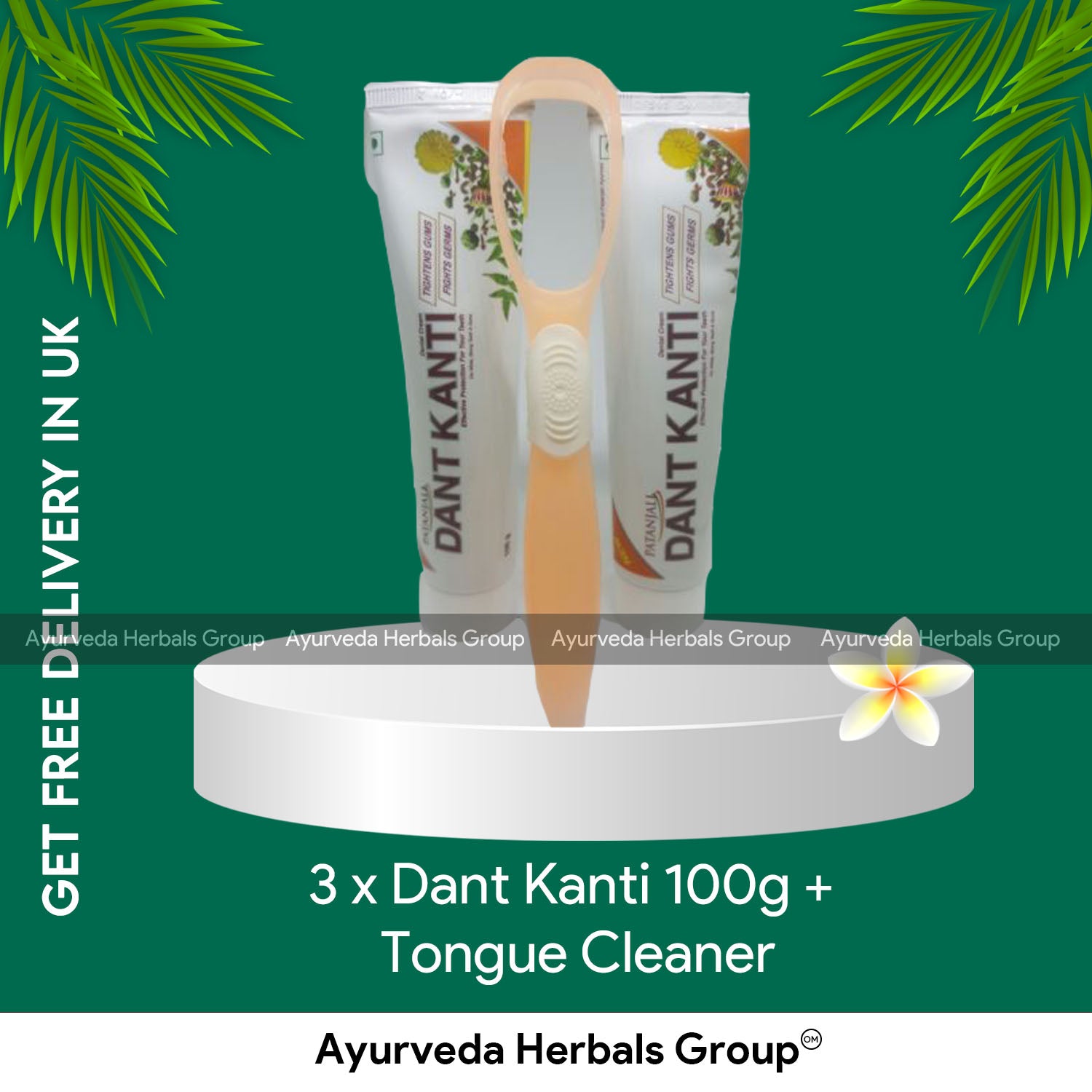 3 x Dant Kanti 100g + Tongue Cleaner
