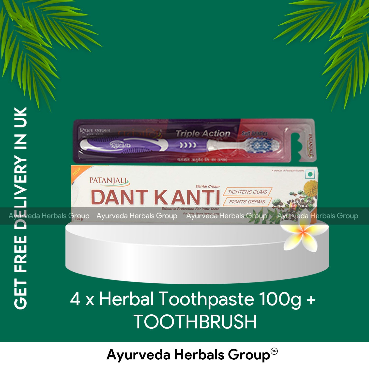 4 x Herbal Toothpaste 100g + TOOTHBRUSH