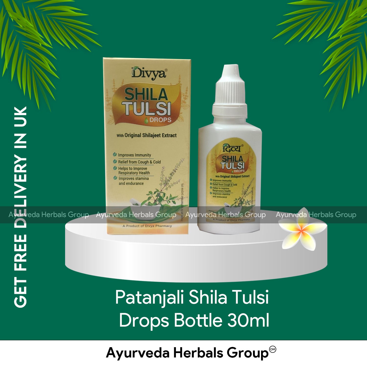 Patanjali Shila Tulsi Drops Bottle 30ml