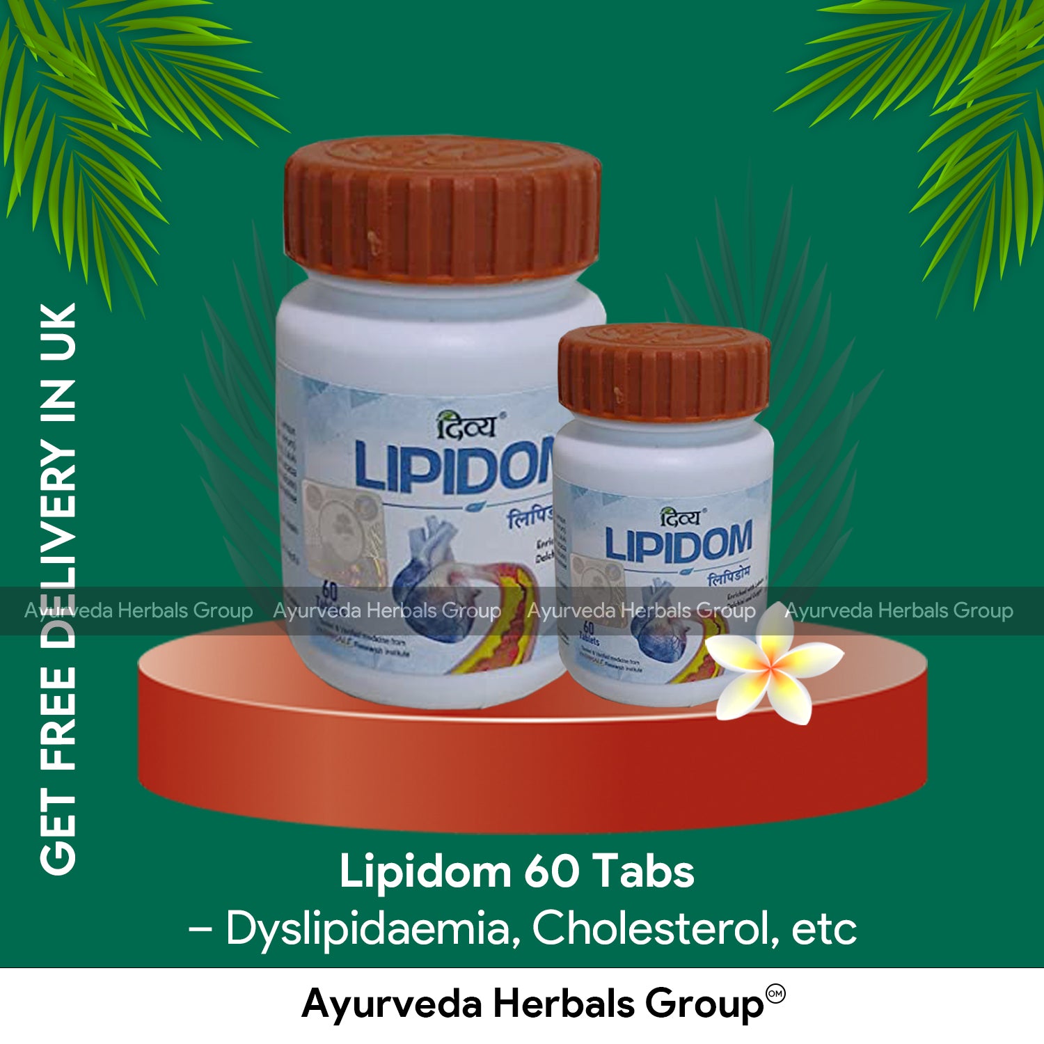 Patanjali Lipidom 60 Tabs