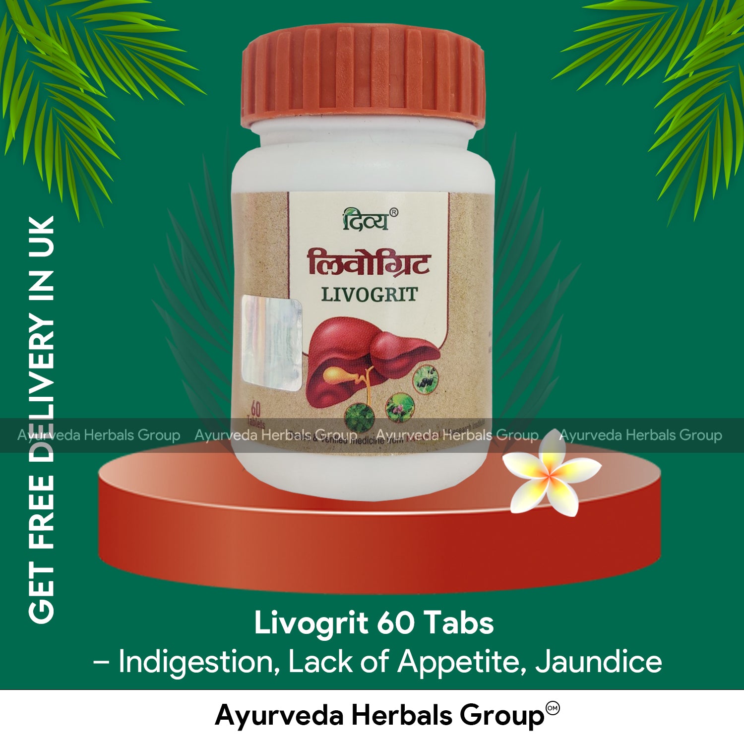 Patanjali Livogrit 60 Tabs