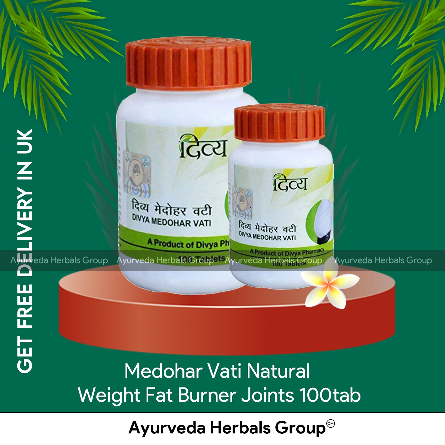 Patanjali Medohar Vati 100 tabs