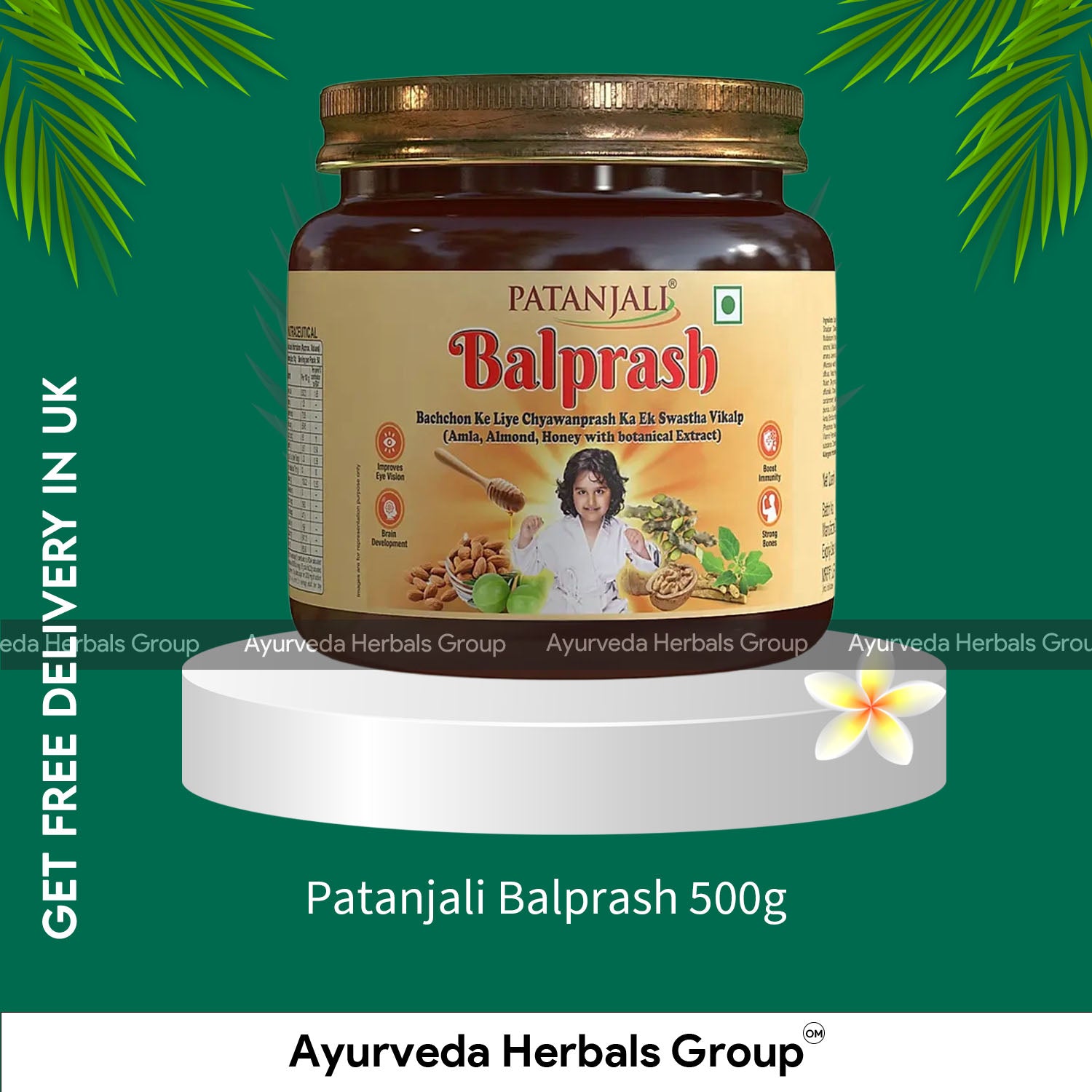 Patanjali Balprash 500g