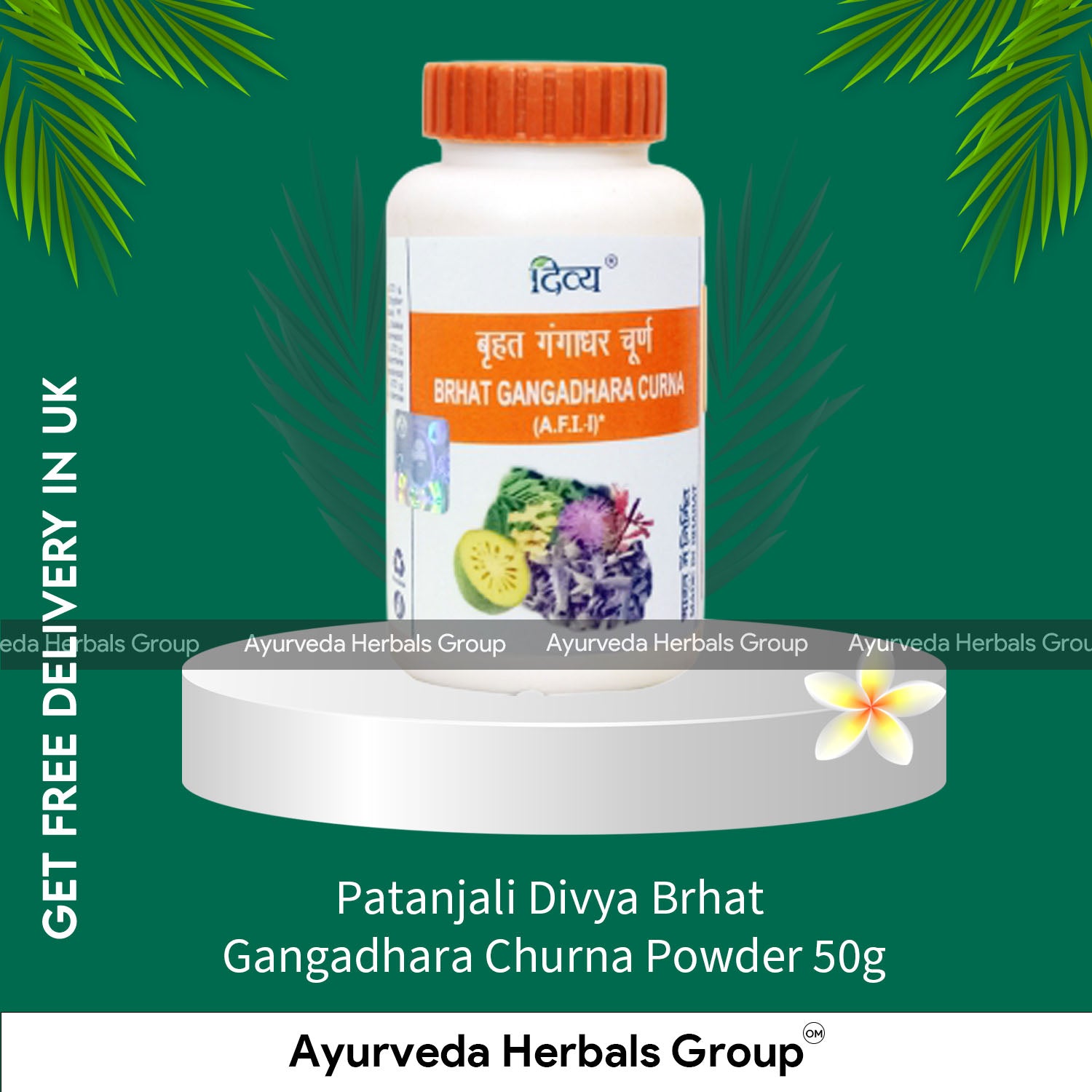 Patanjali Divya Brhat Gangadhara Churna Powder 50g