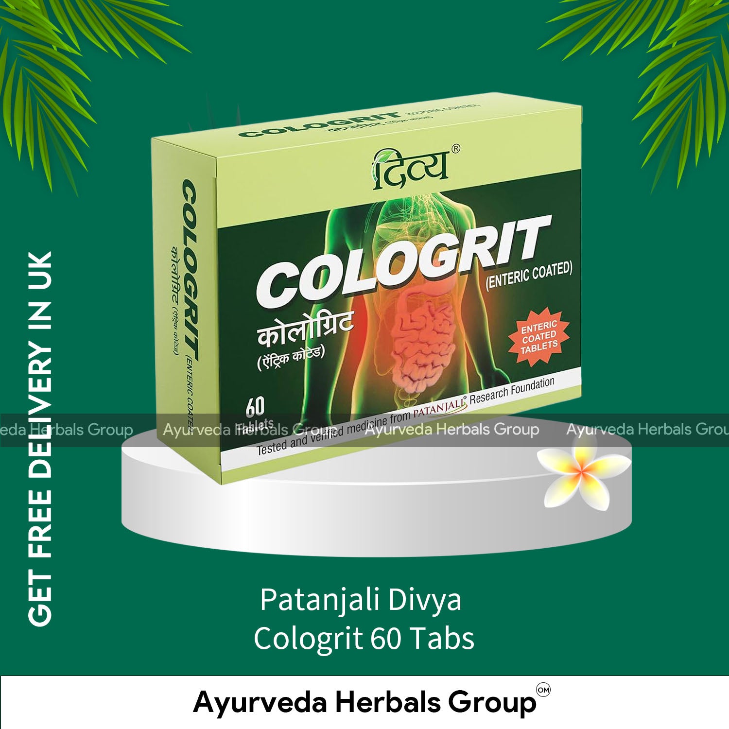 Patanjali Divya Cologrit 60 Tabs