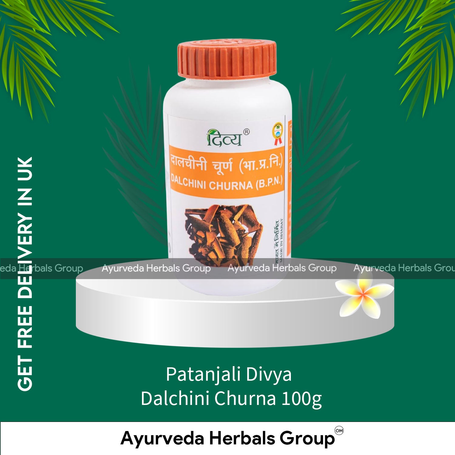 Patanjali Divya Dalchini Churna 100g