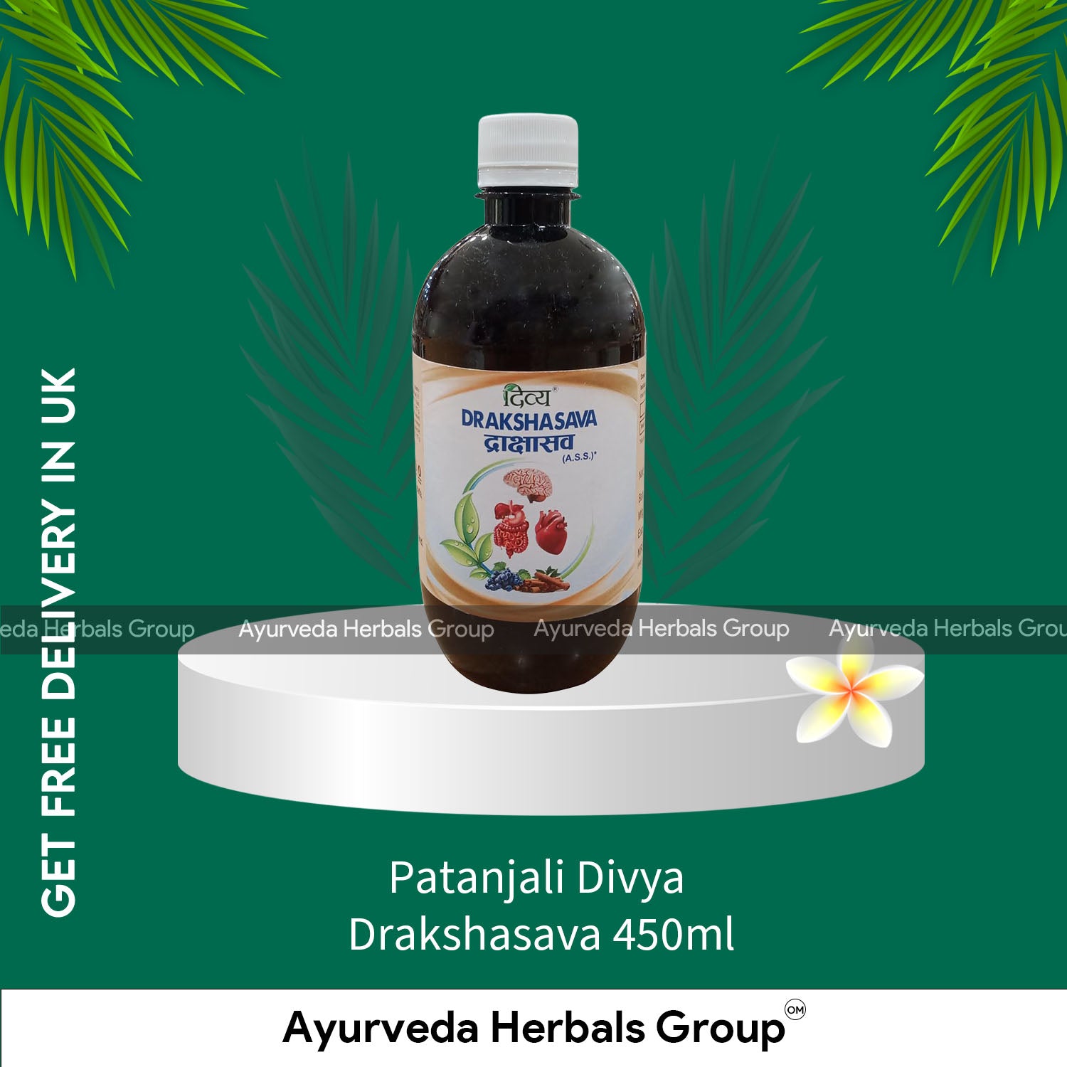 Patanjali Divya Drakshasava 450ml