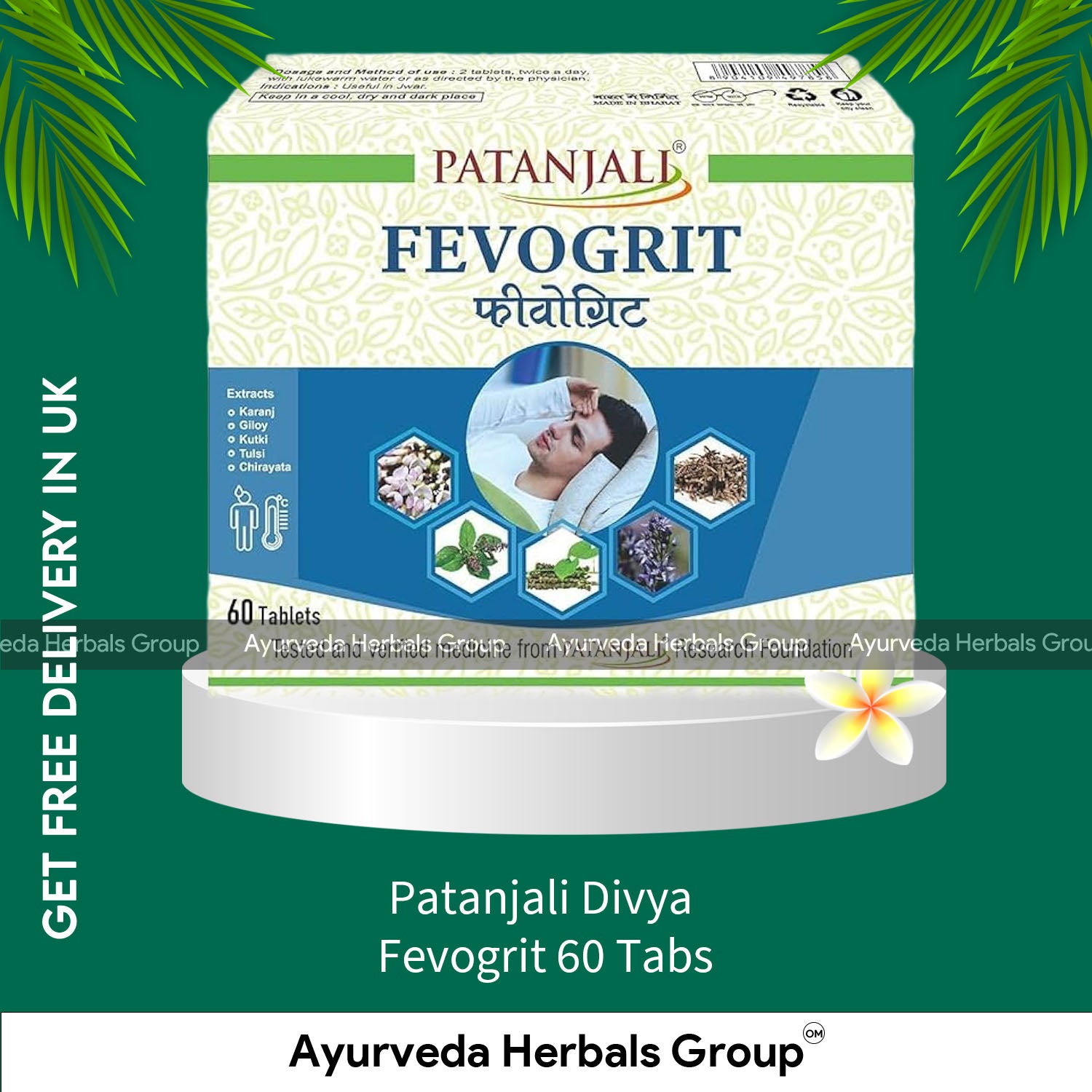 Patanjali Divya Fevogrit 60 Tabs