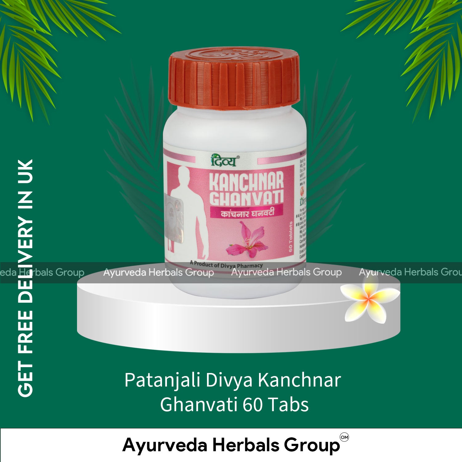 Patanjali Divya Kanchnar Ghanvati 60 Tabs