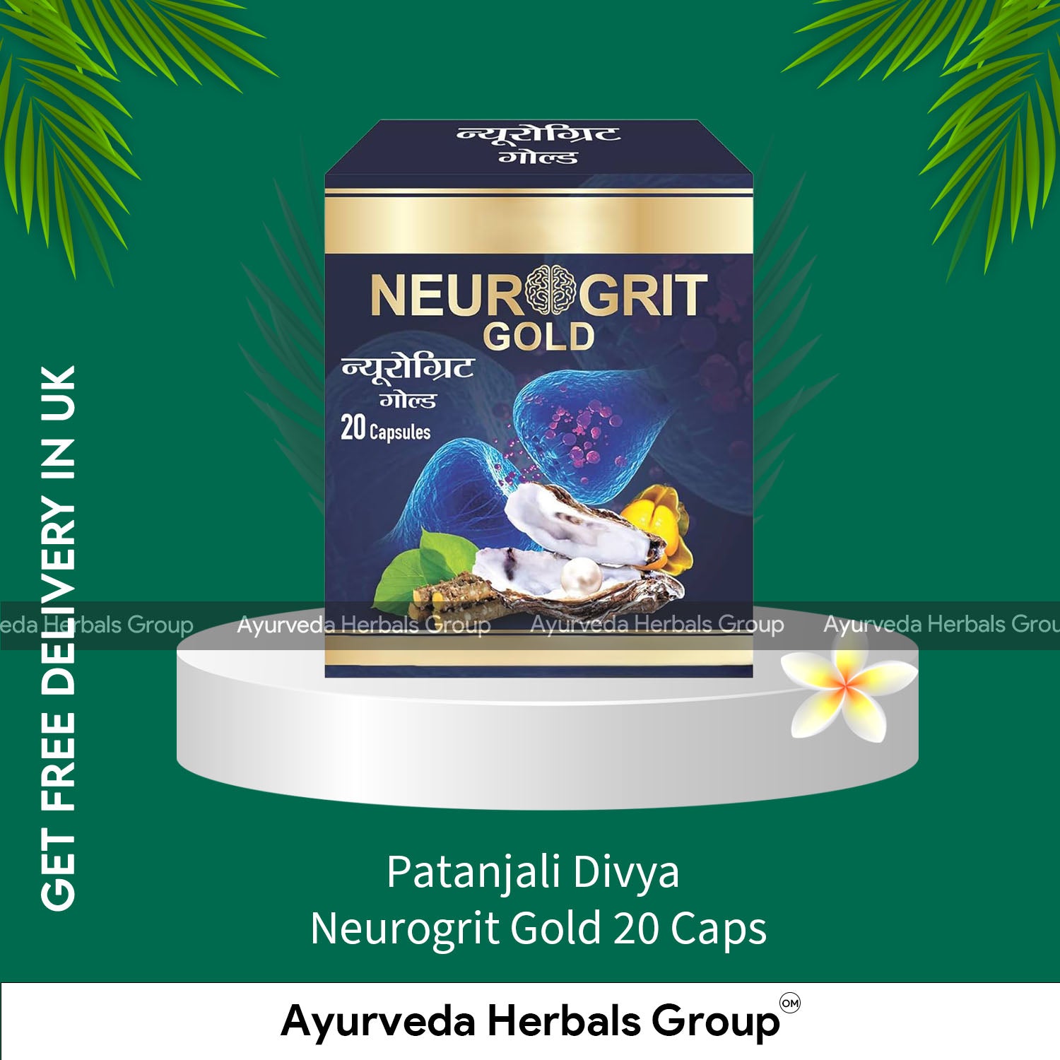 Patanjali Divya Neurogrit Gold 20 Caps