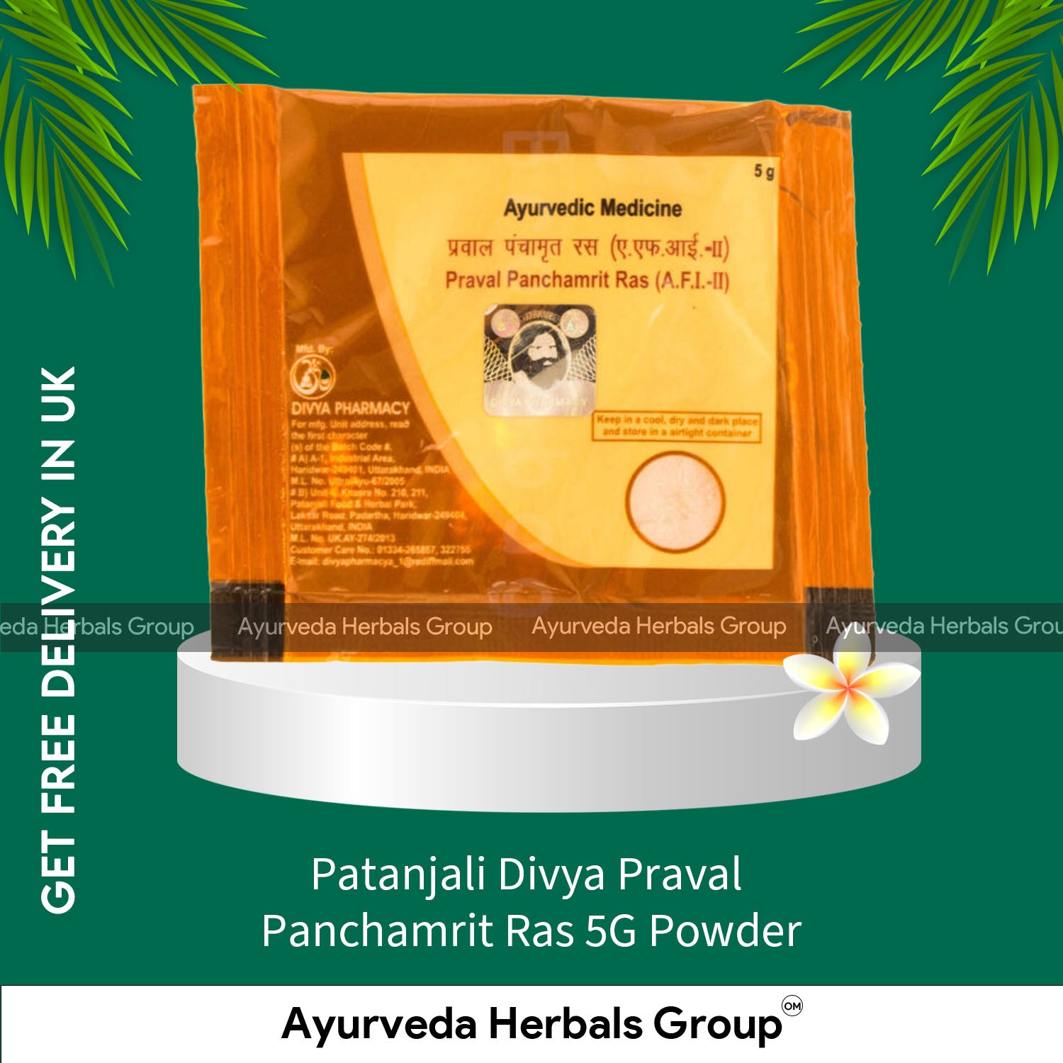 Patanjali Divya Praval Panchamrit Ras 5G Powder