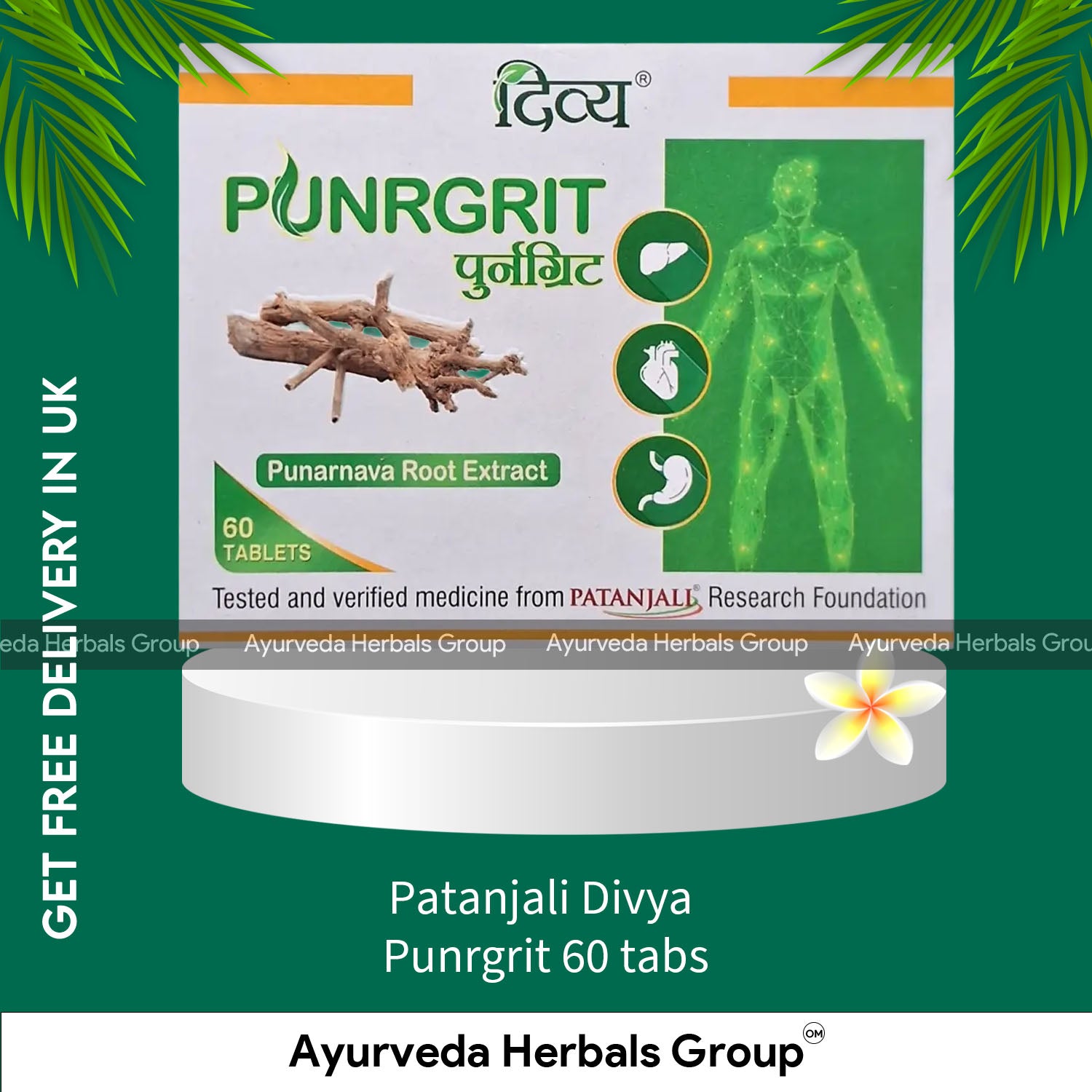 Patanjali Divya Punrgrit 60 tabs