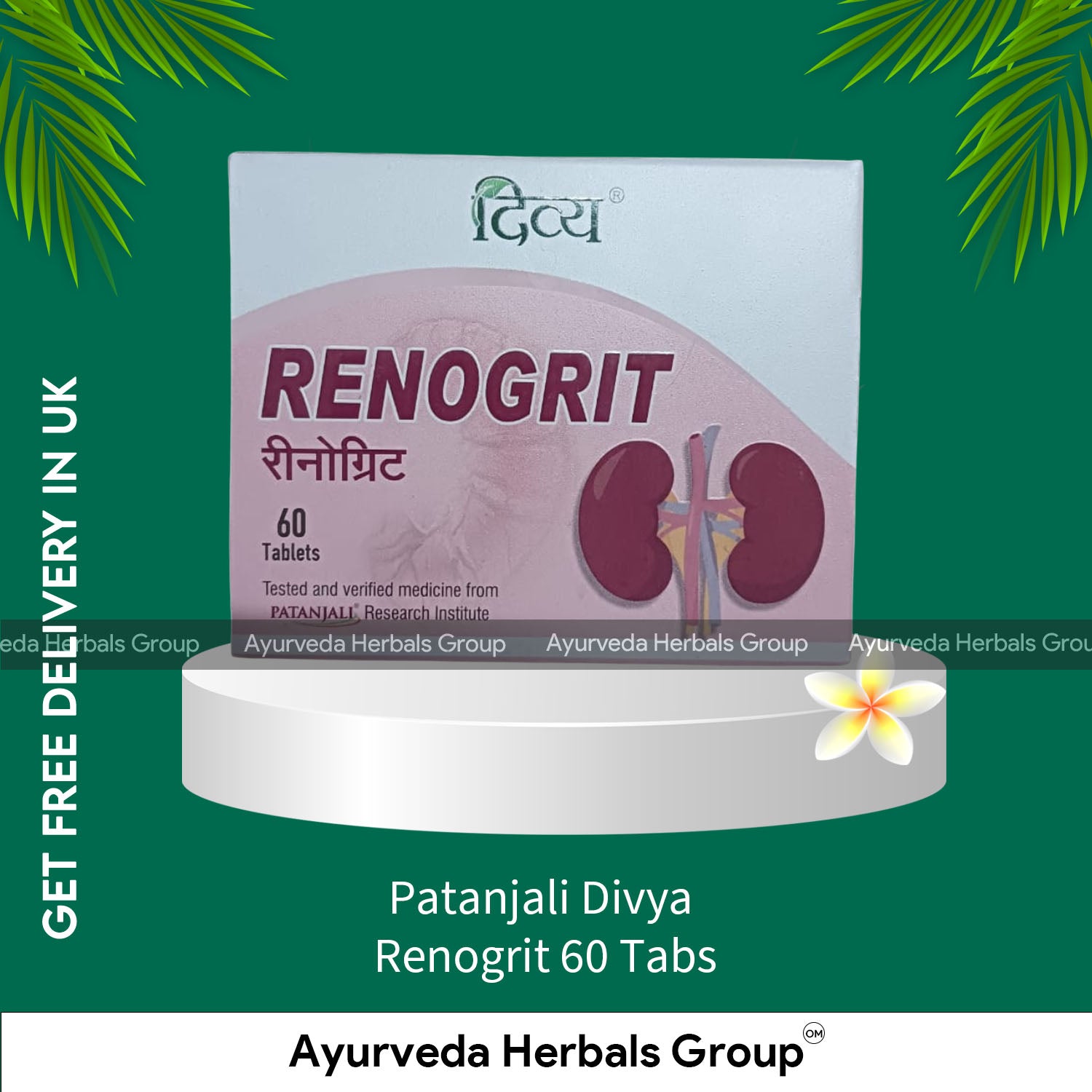 Patanjali Divya Renogrit 60 Tabs