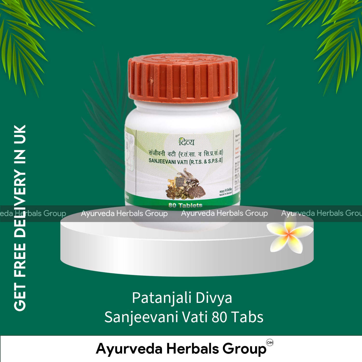 Patanjali Divya Sanjeevani Vati 80 Tabs