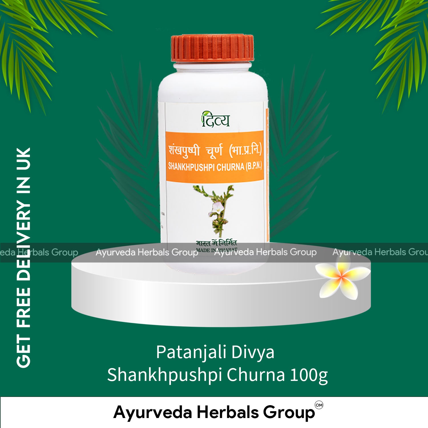 Patanjali Divya Shankhpushpi Churna 100g